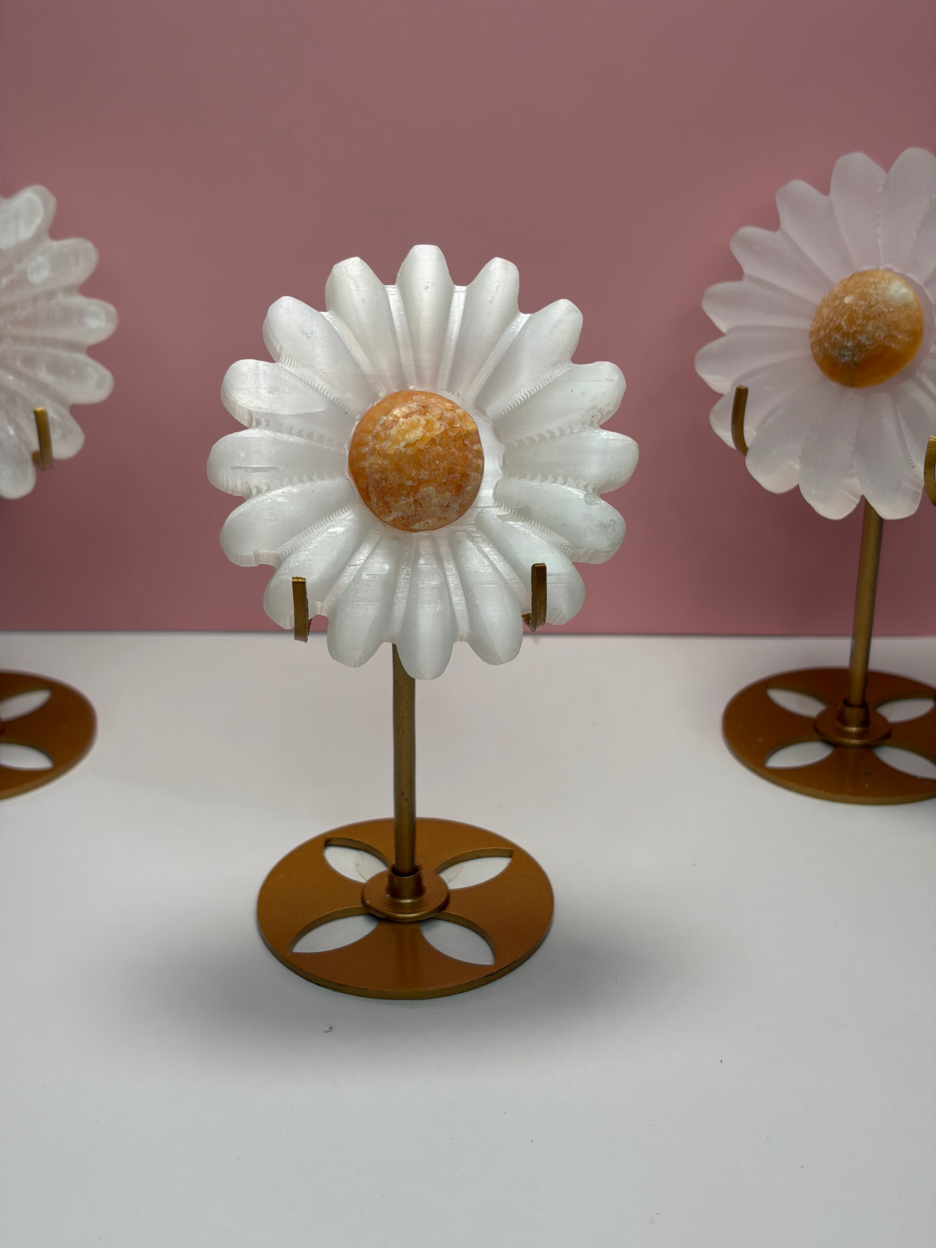 Imperfect Selenite Daisy