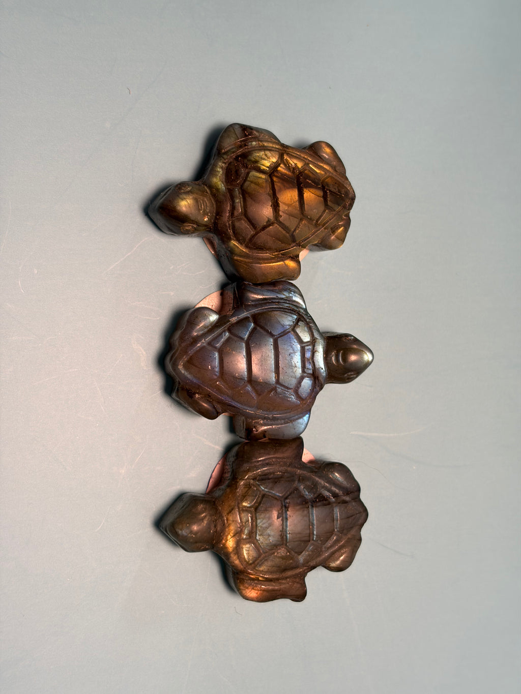 Labradorite Turtle
