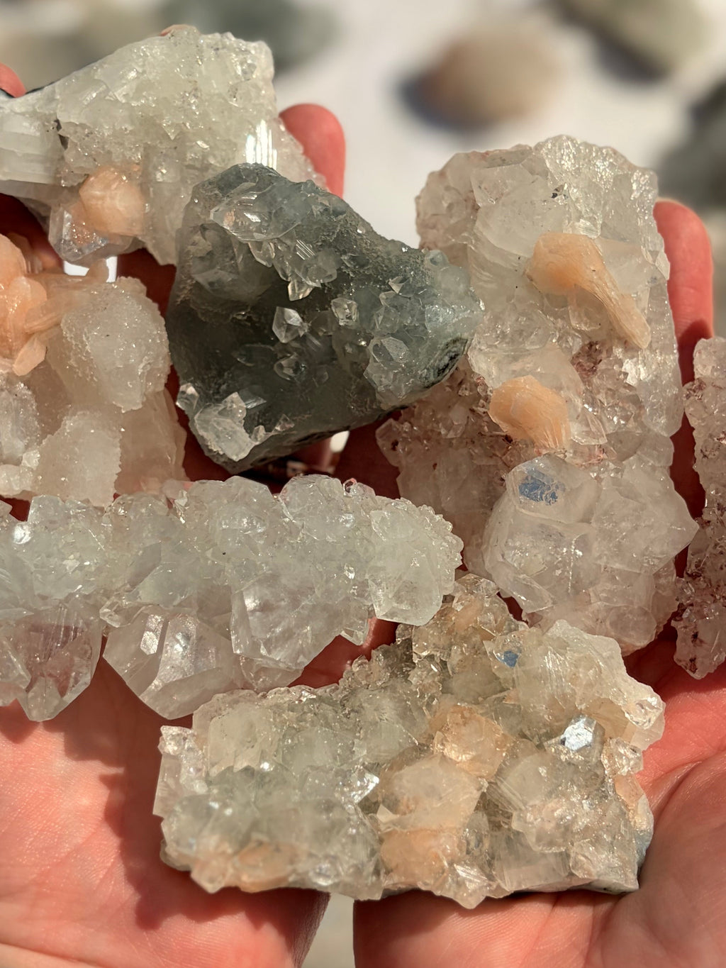 Apophyllite Specimens