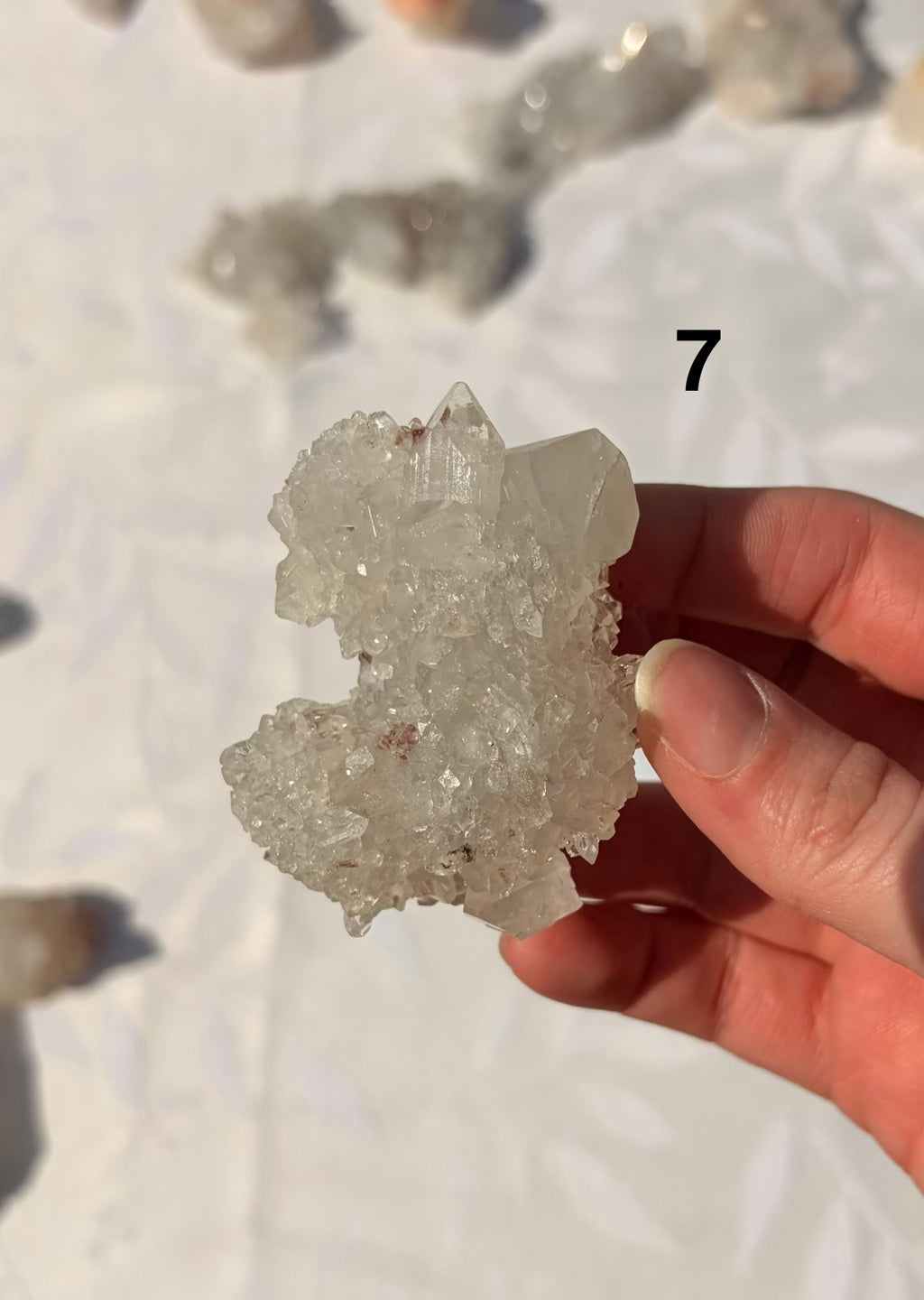 Apophyllite Specimens