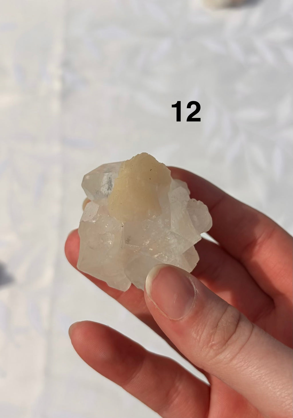 Apophyllite Specimens