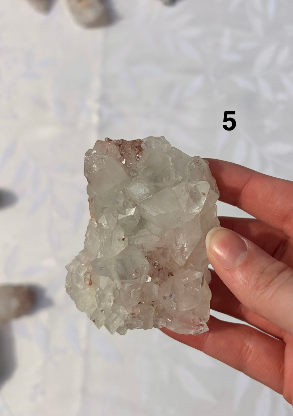 Apophyllite Specimens