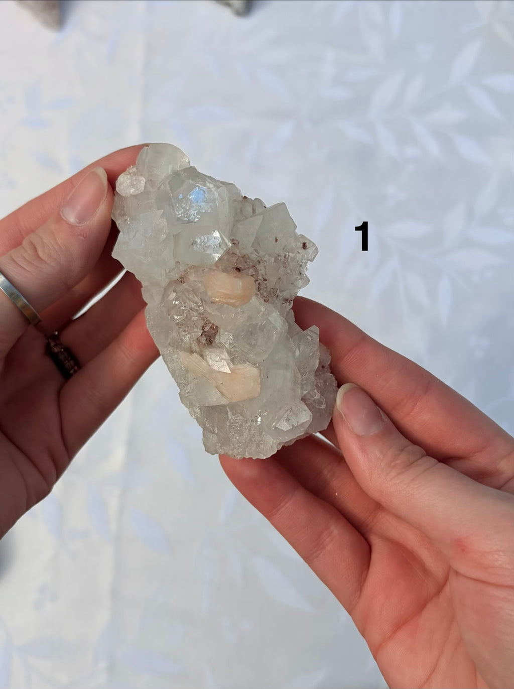 Apophyllite Specimens