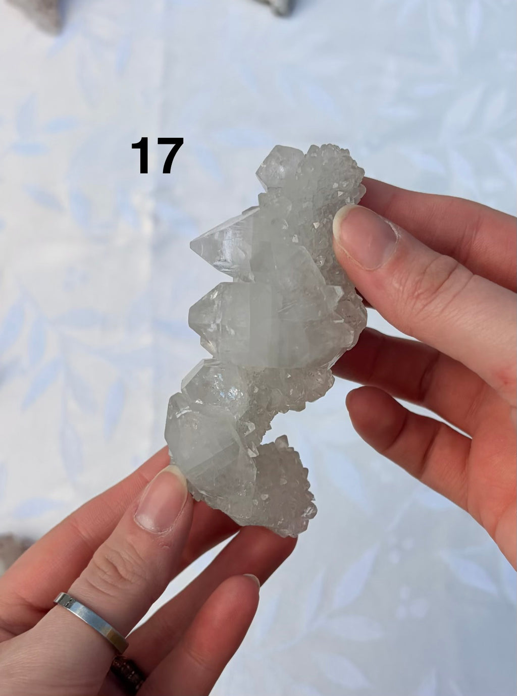 Apophyllite Specimens