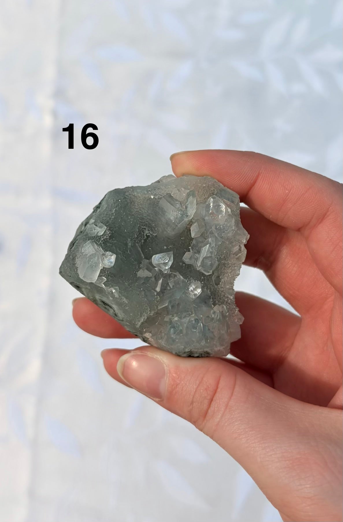 Apophyllite Specimens