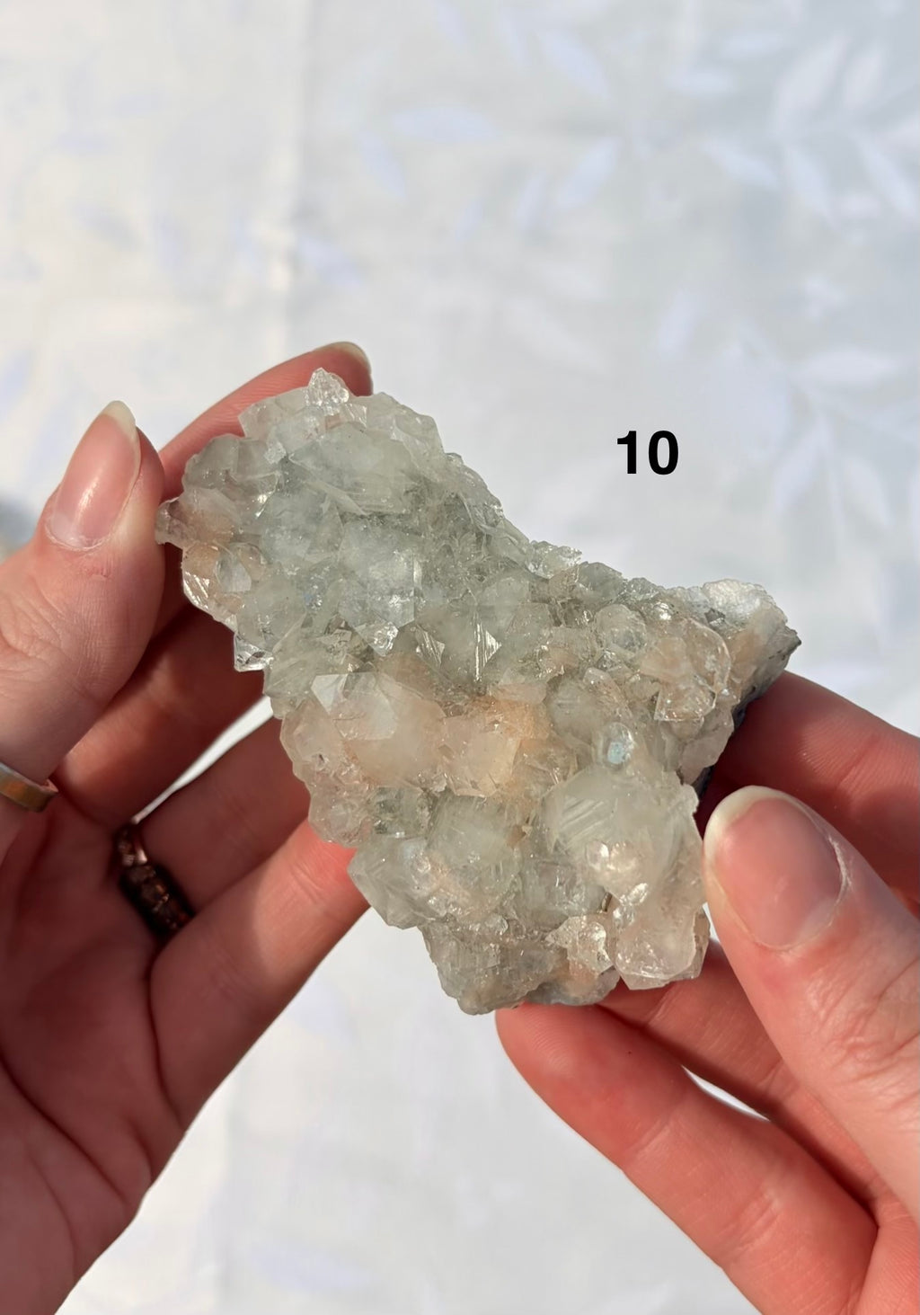 Apophyllite Specimens