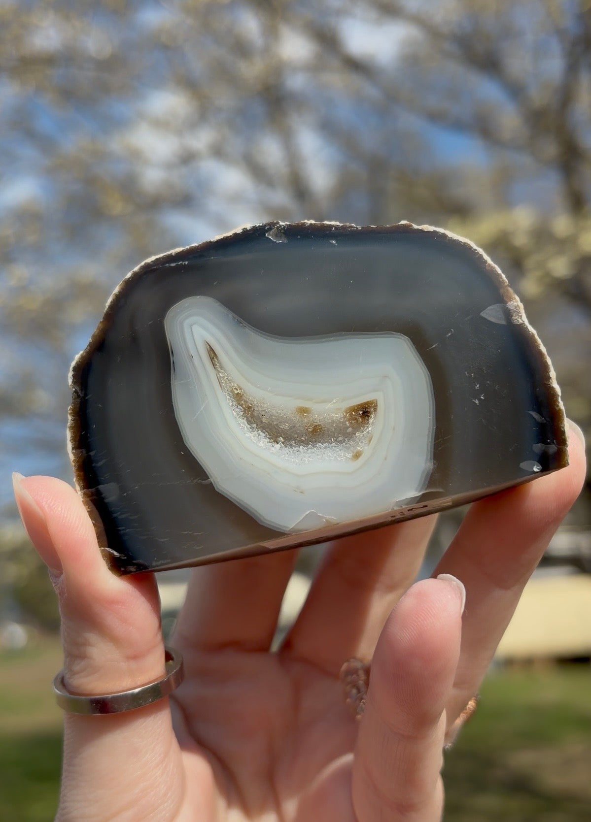 Natural Druzy Agate Geode Cut-Base