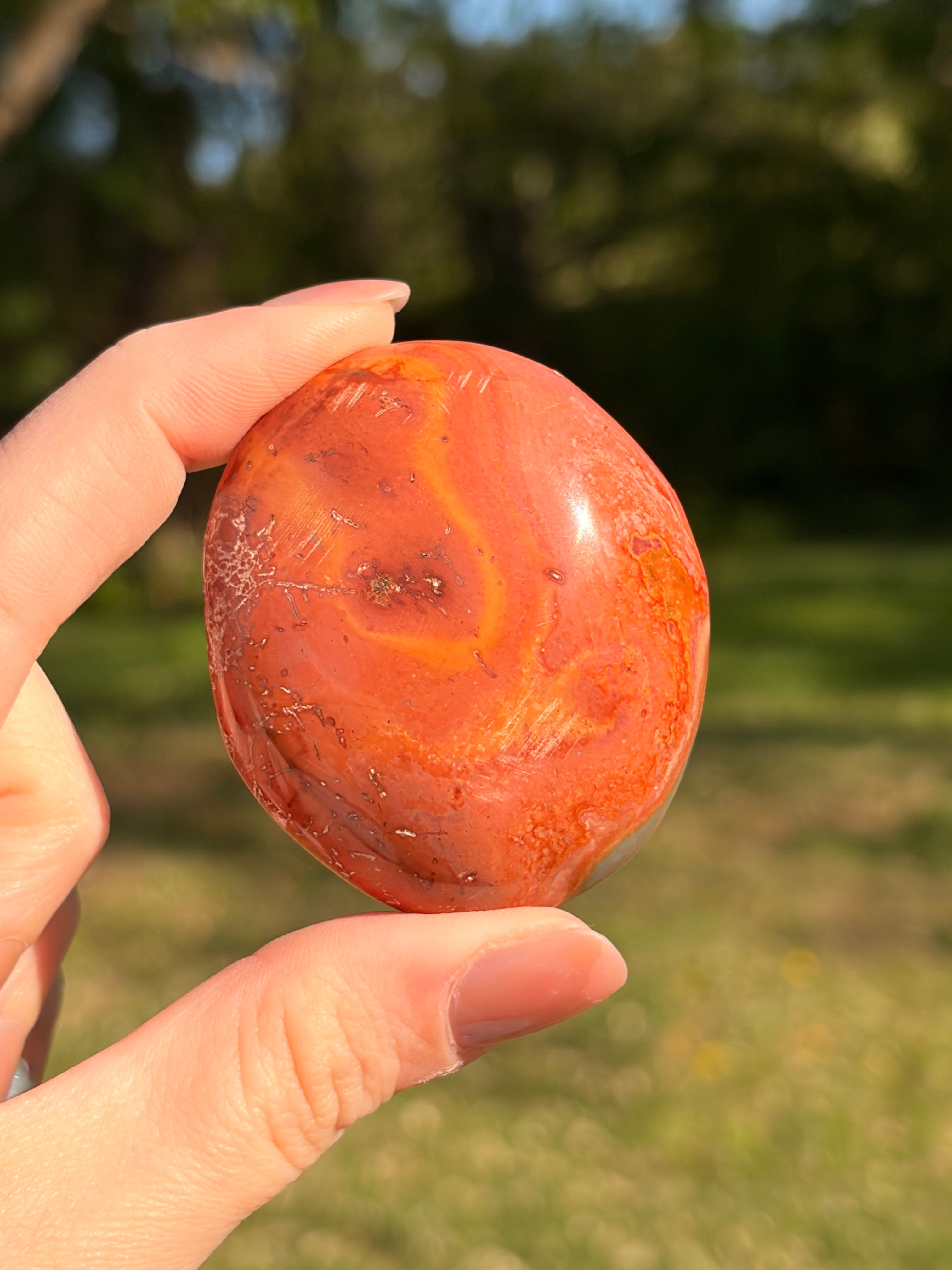 Polychrome Jasper (Desert Jasper) Palm Stones