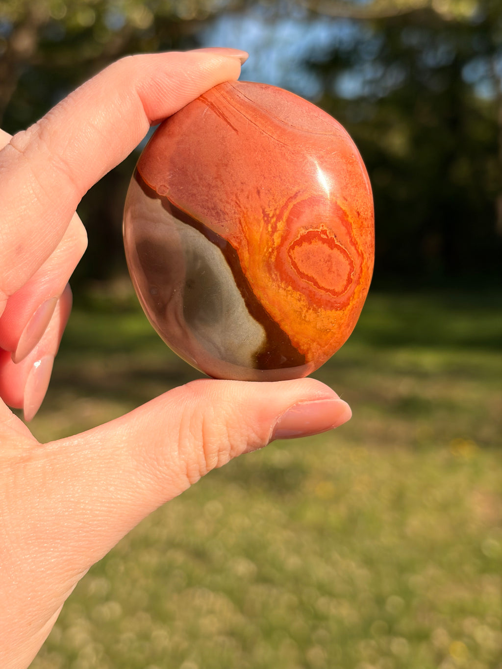 Polychrome Jasper (Desert Jasper) Palm Stones
