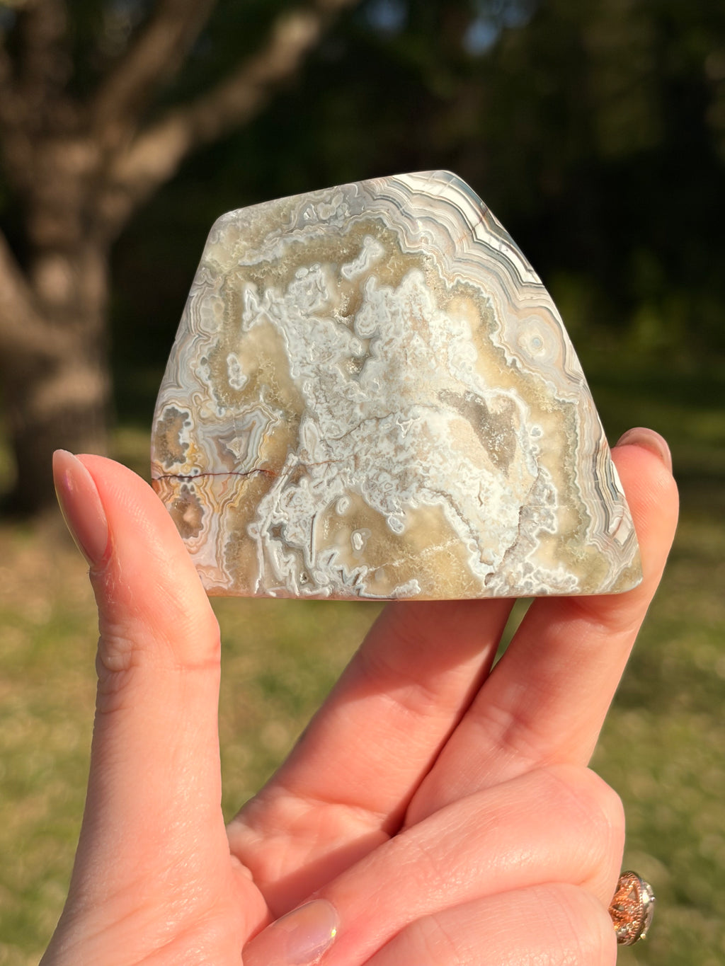 Crazy Lace Agate Freeform