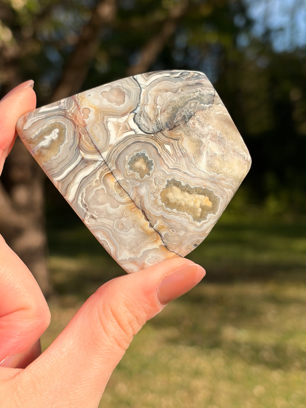 Crazy Lace Agate Freeform