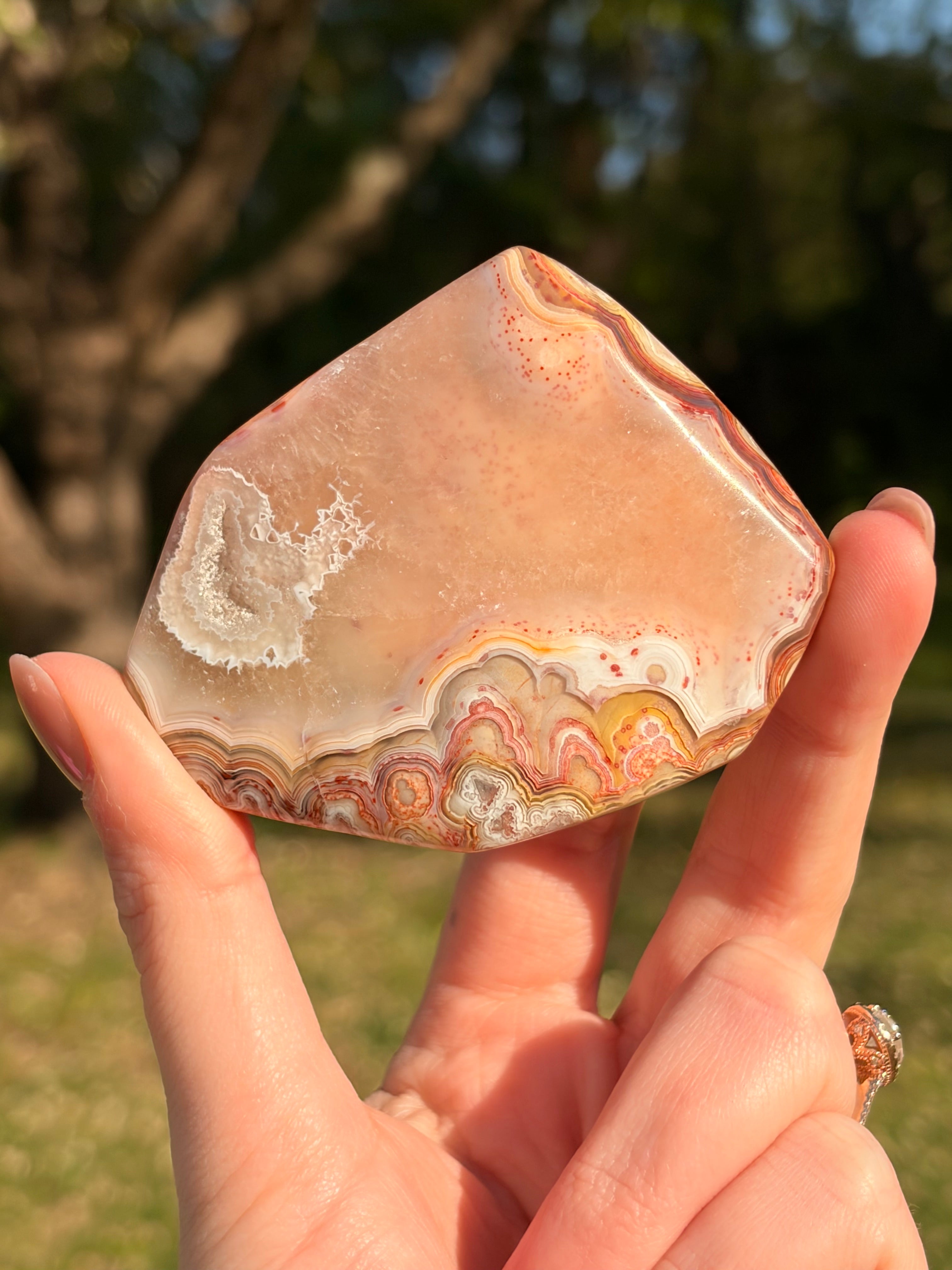 Crazy Lace Agate Freeform