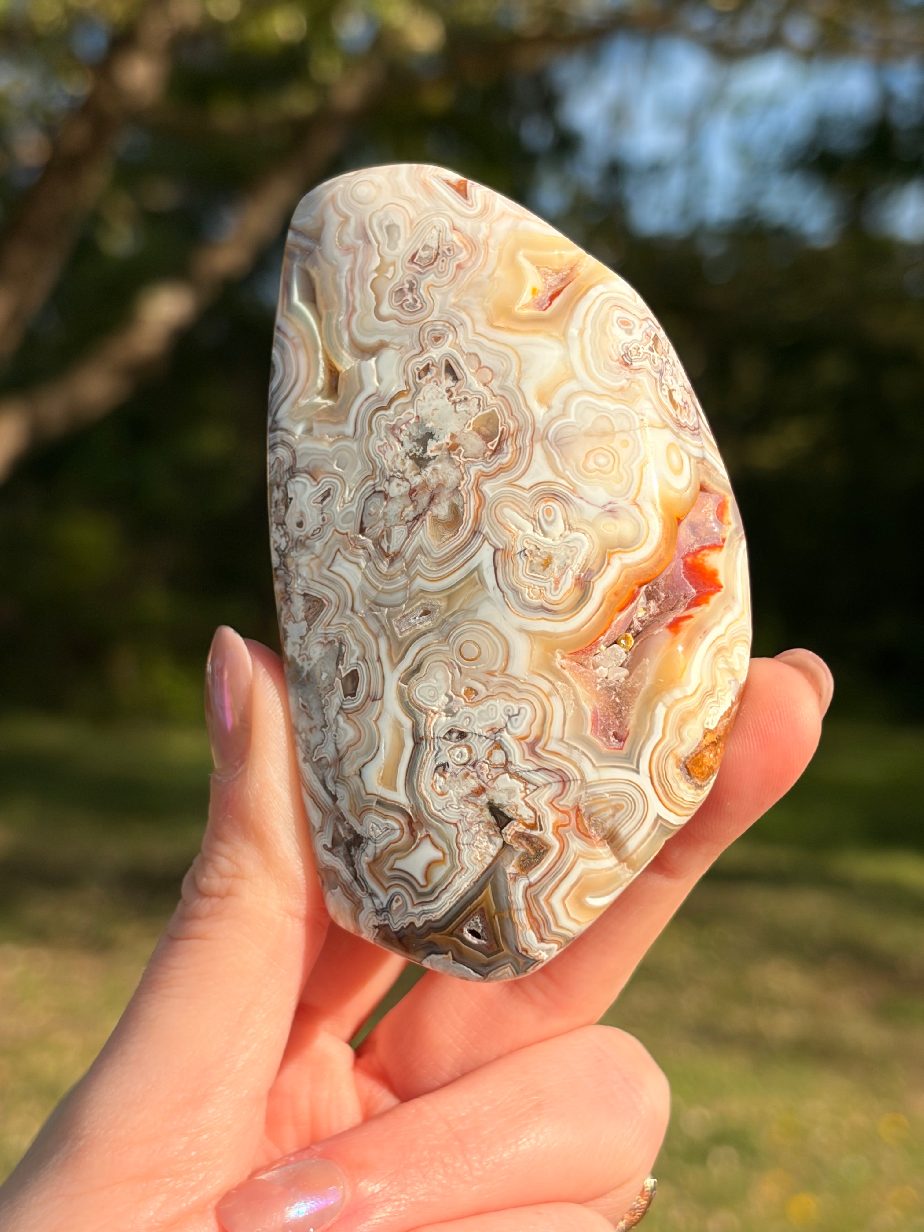 Crazy Lace Agate Freeform