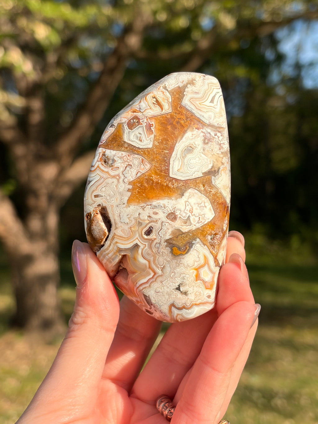 Crazy Lace Agate Freeform