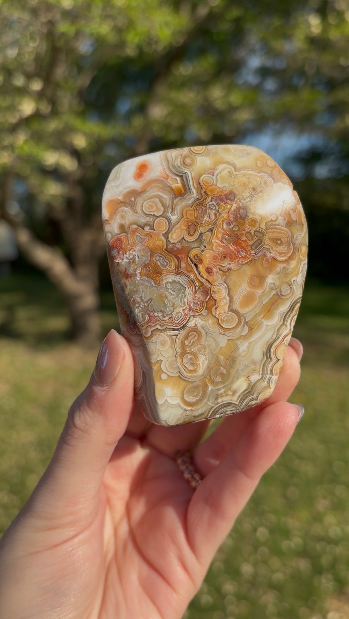 Crazy Lace Agate Freeform
