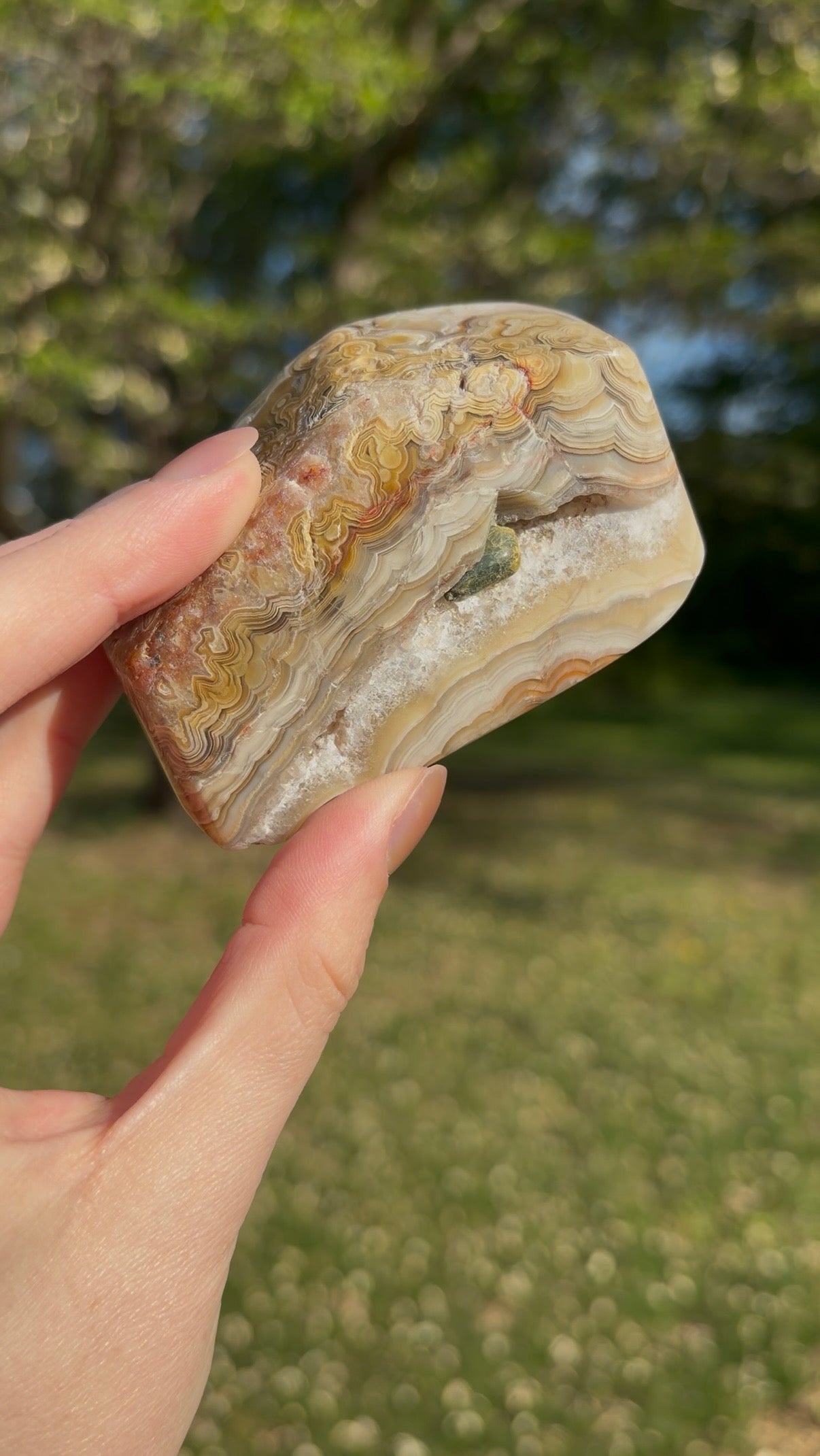 Crazy Lace Agate Freeform