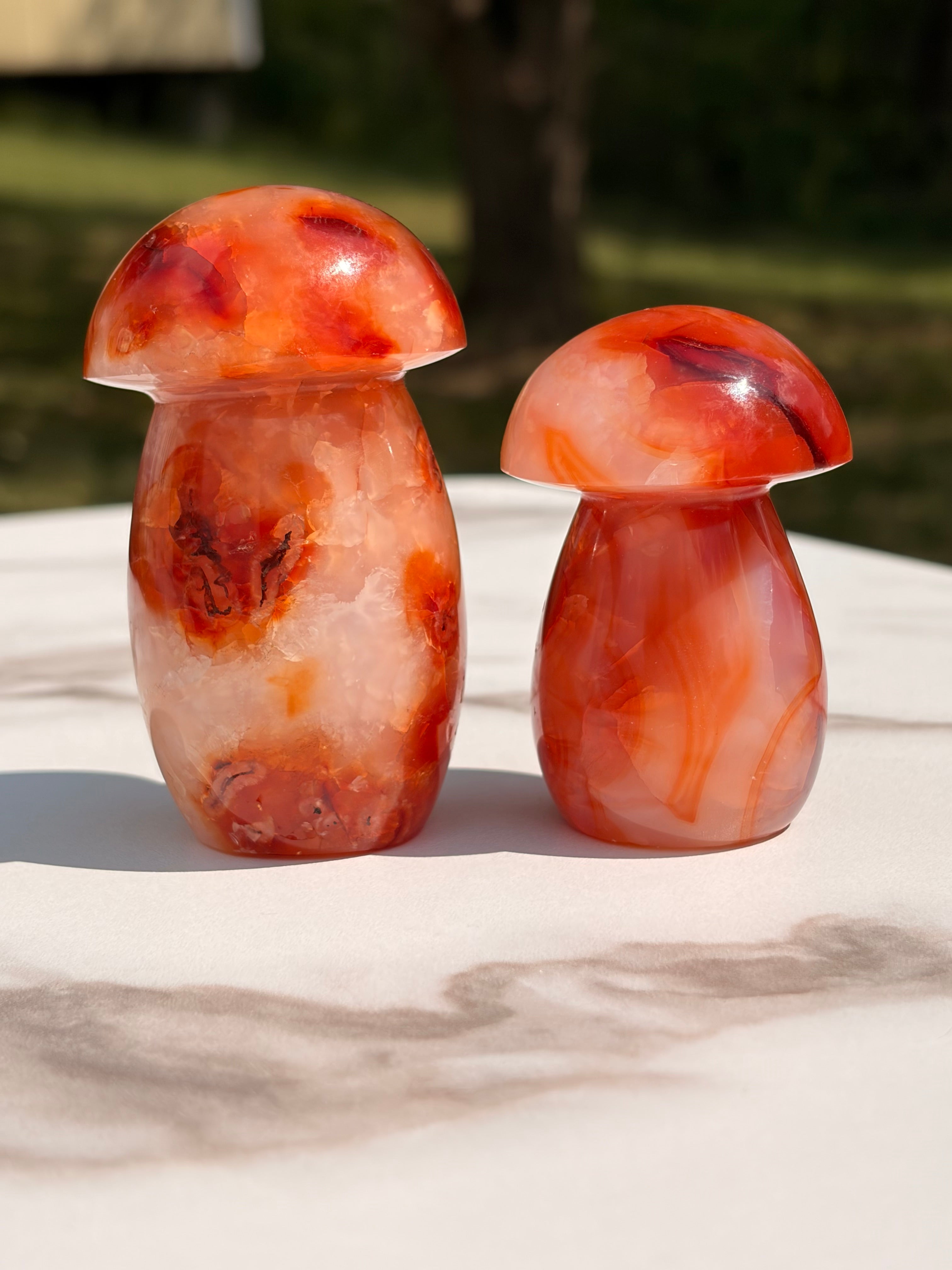 Carnelian Mushroom Carving