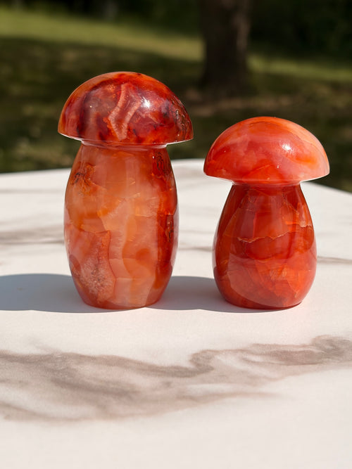 Carnelian Mushroom Carving