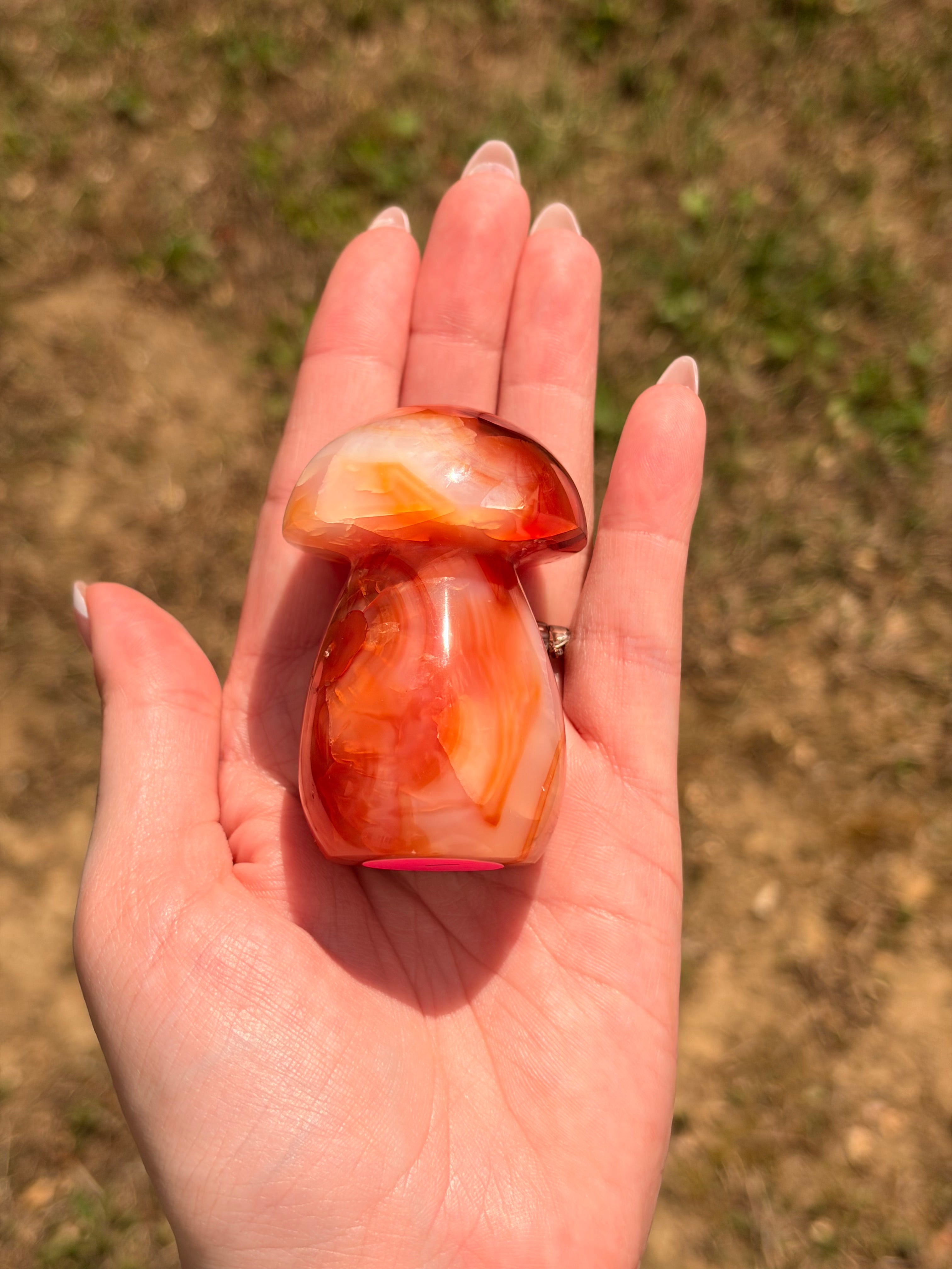 Carnelian Mushroom Carving