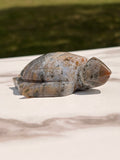 Ocean Jasper Sea Turtle Carving