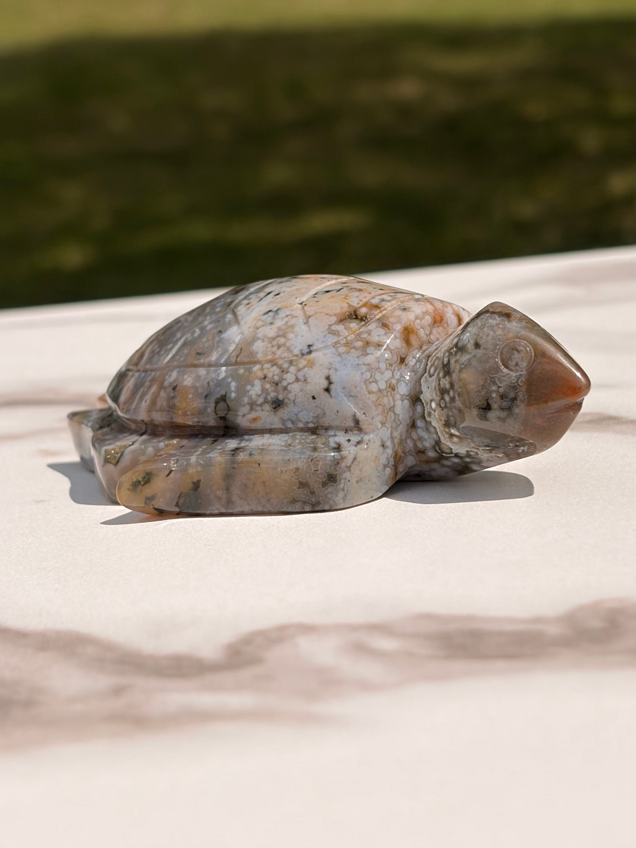Ocean Jasper Sea Turtle Carving