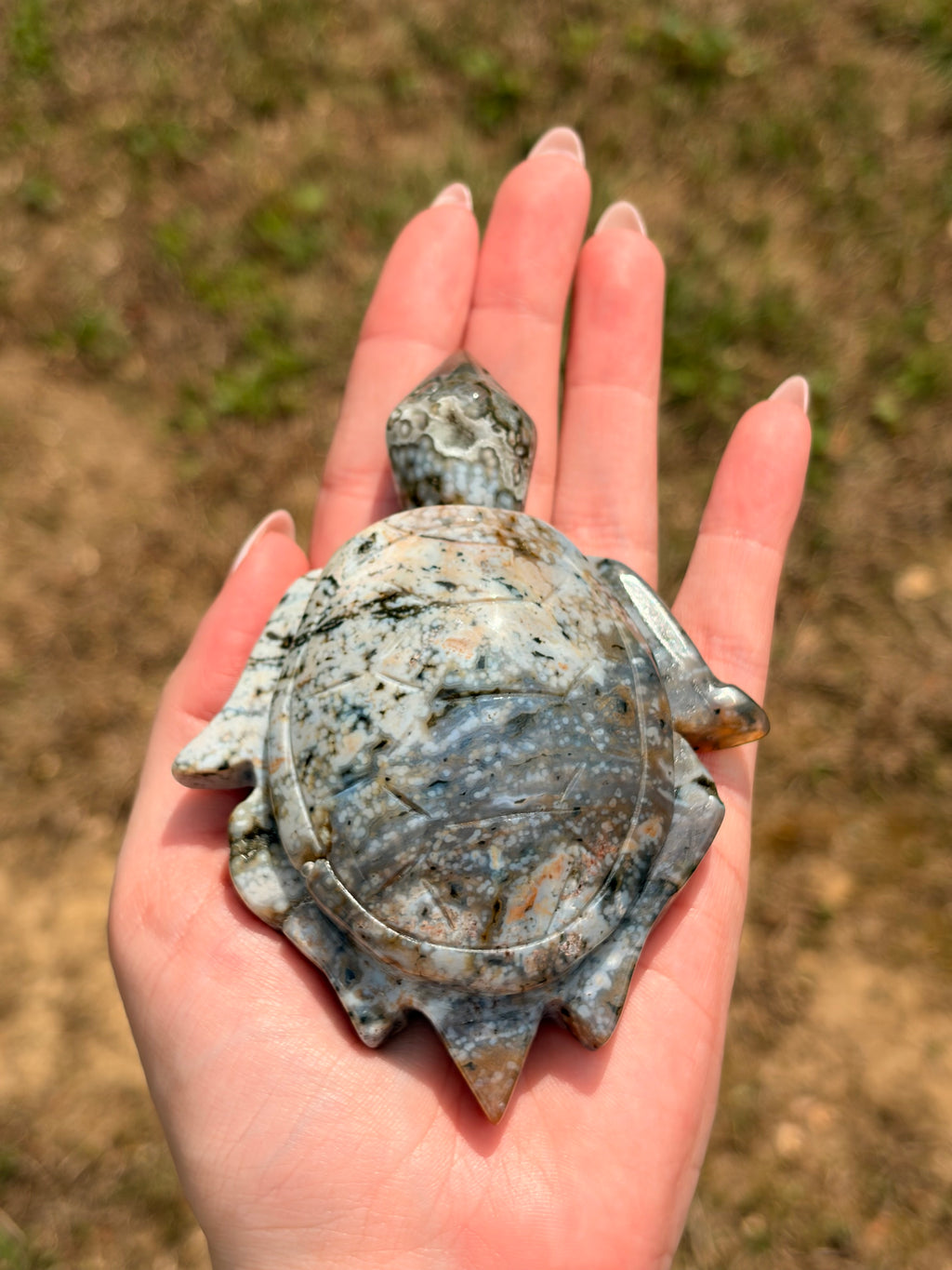 Ocean Jasper Sea Turtle Carving