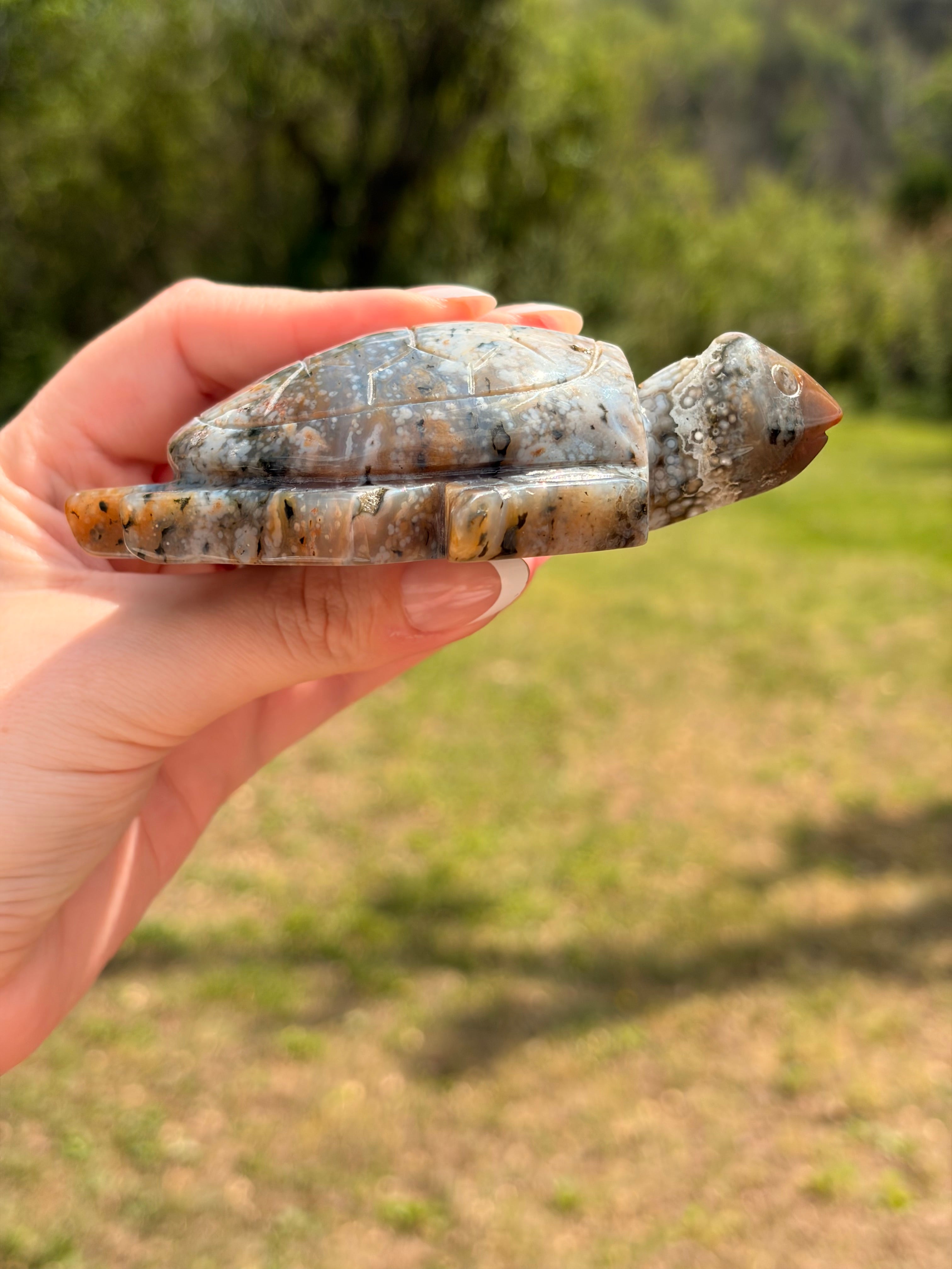 Ocean Jasper Sea Turtle Carving