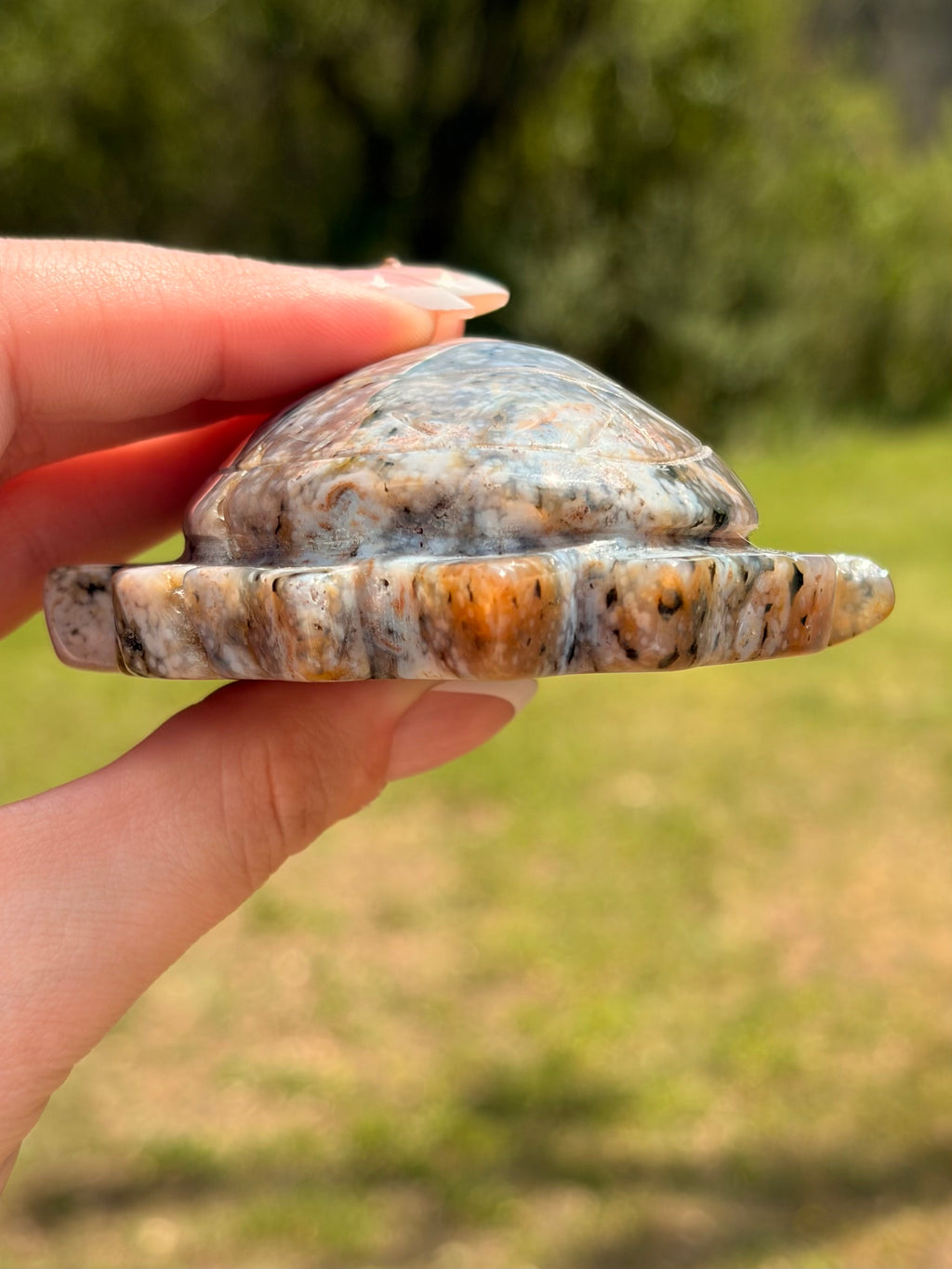 Ocean Jasper Sea Turtle Carving