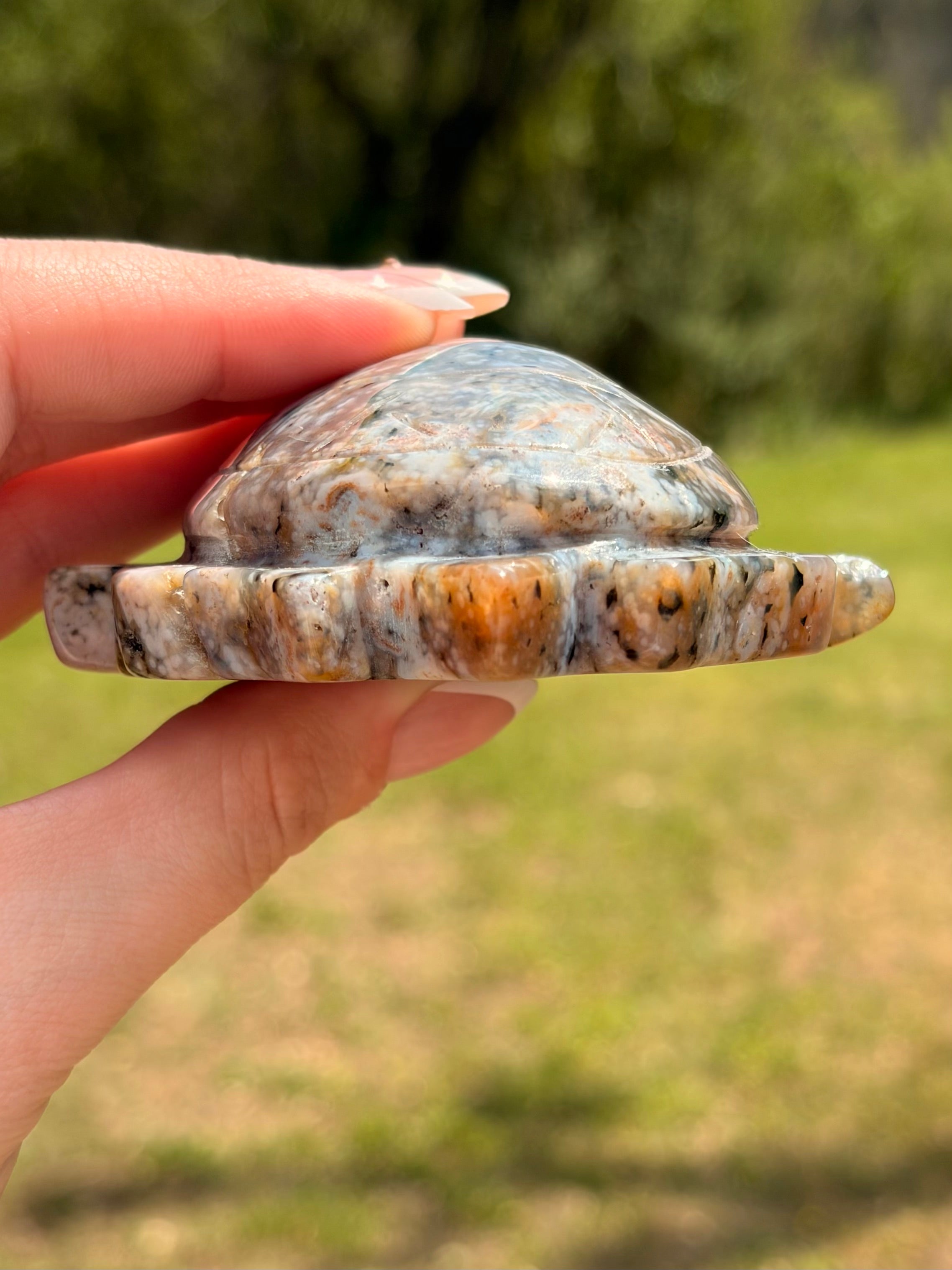 Ocean Jasper Sea Turtle Carving
