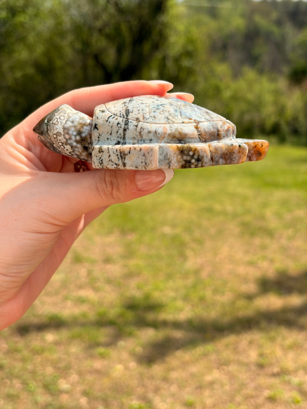 Ocean Jasper Sea Turtle Carving