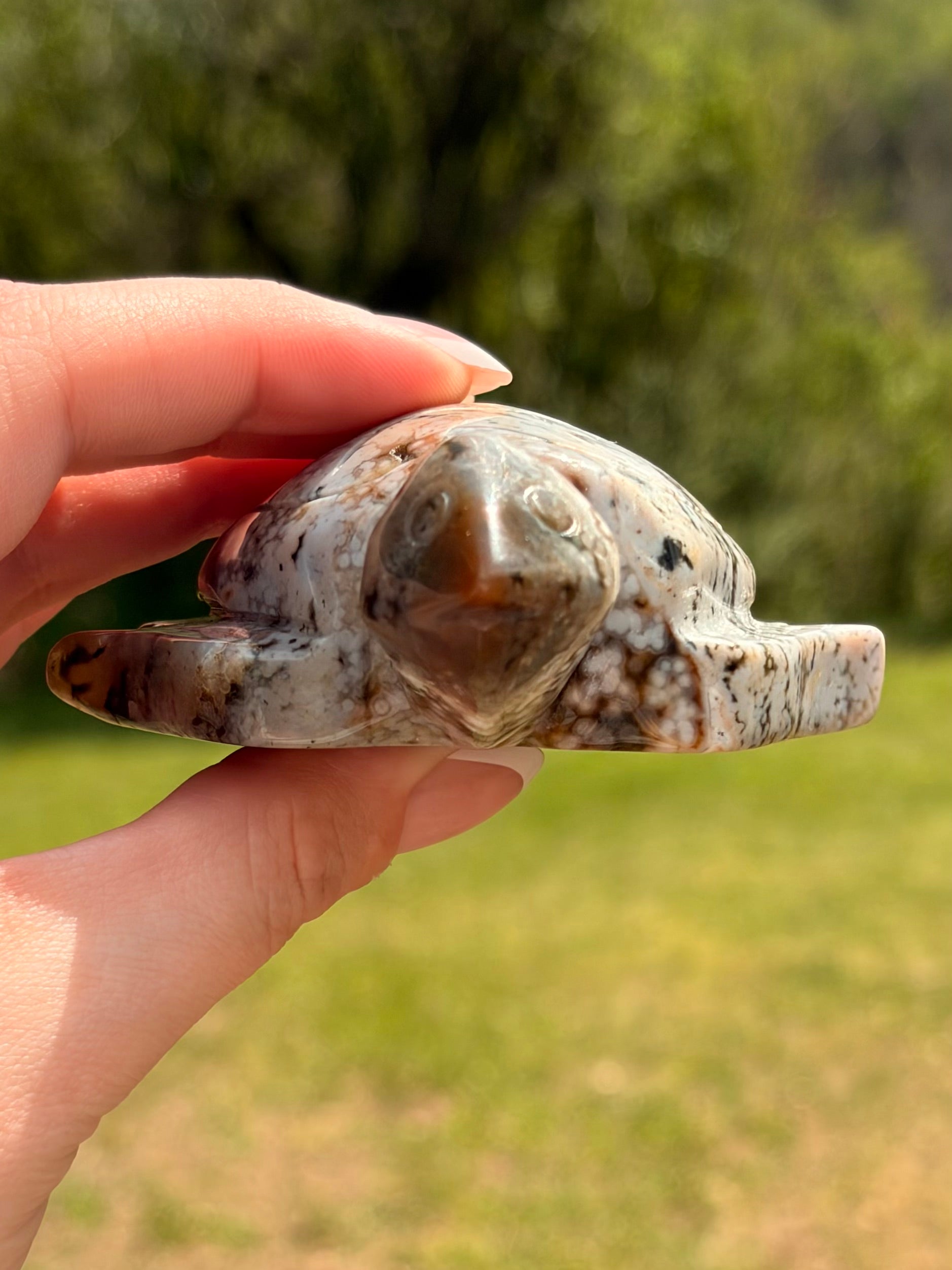 Ocean Jasper Sea Turtle Carving