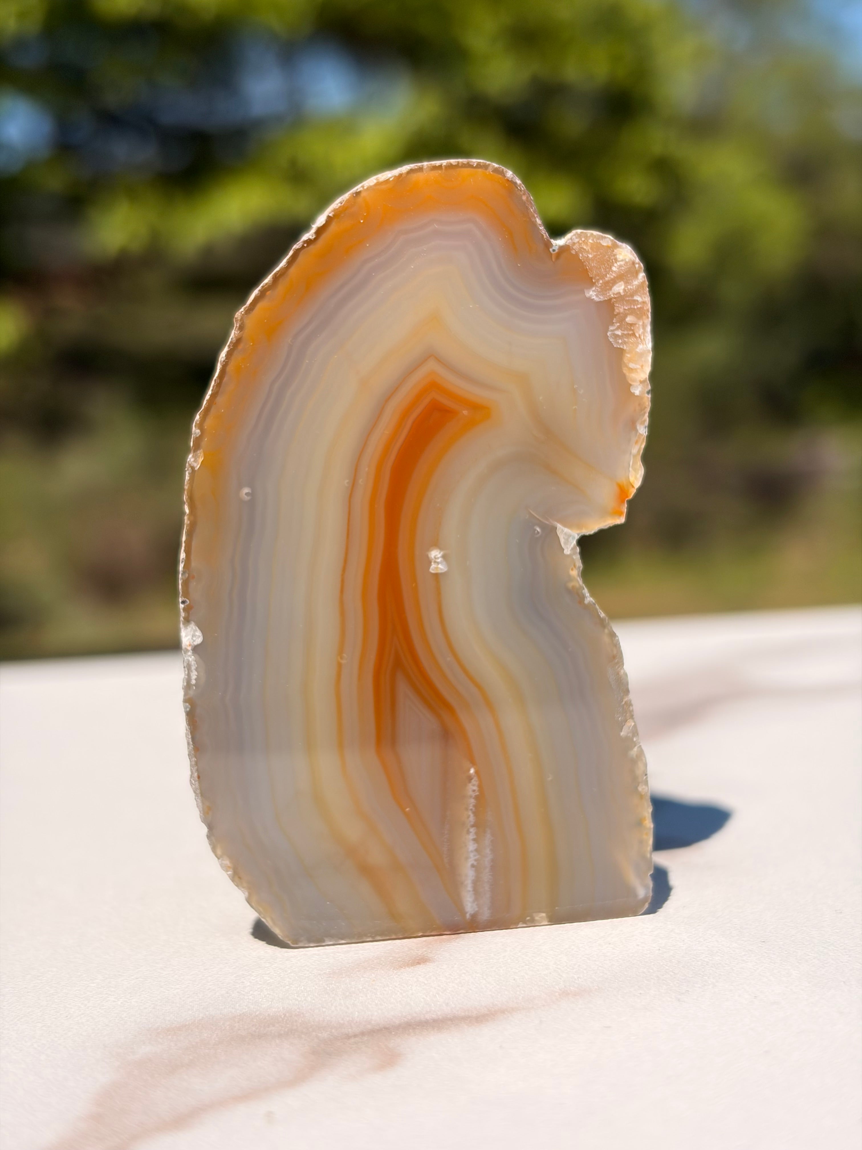 Natural Druzy Agate Geode Cut-Base
