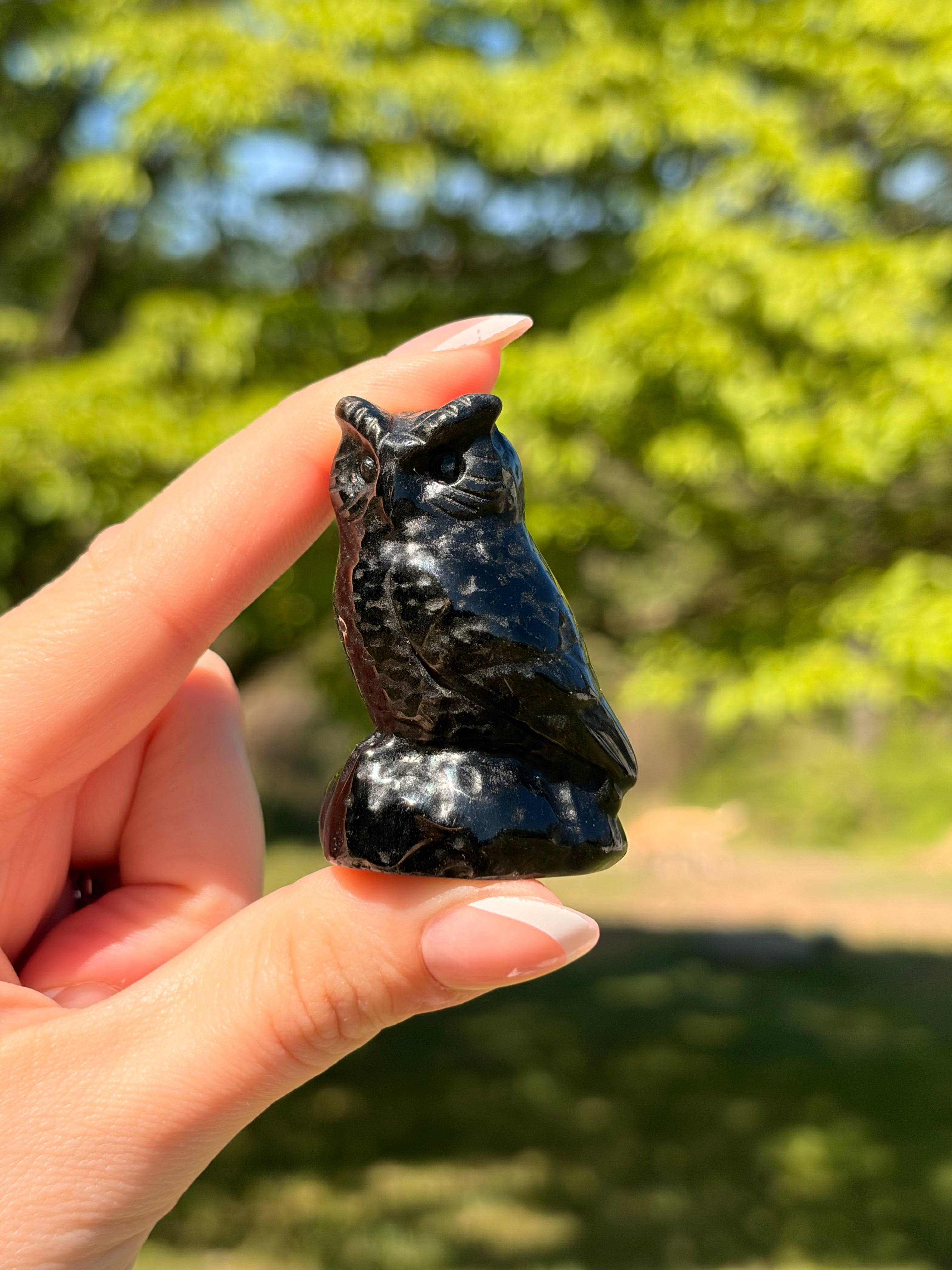 Black Obsidian Owl Carving