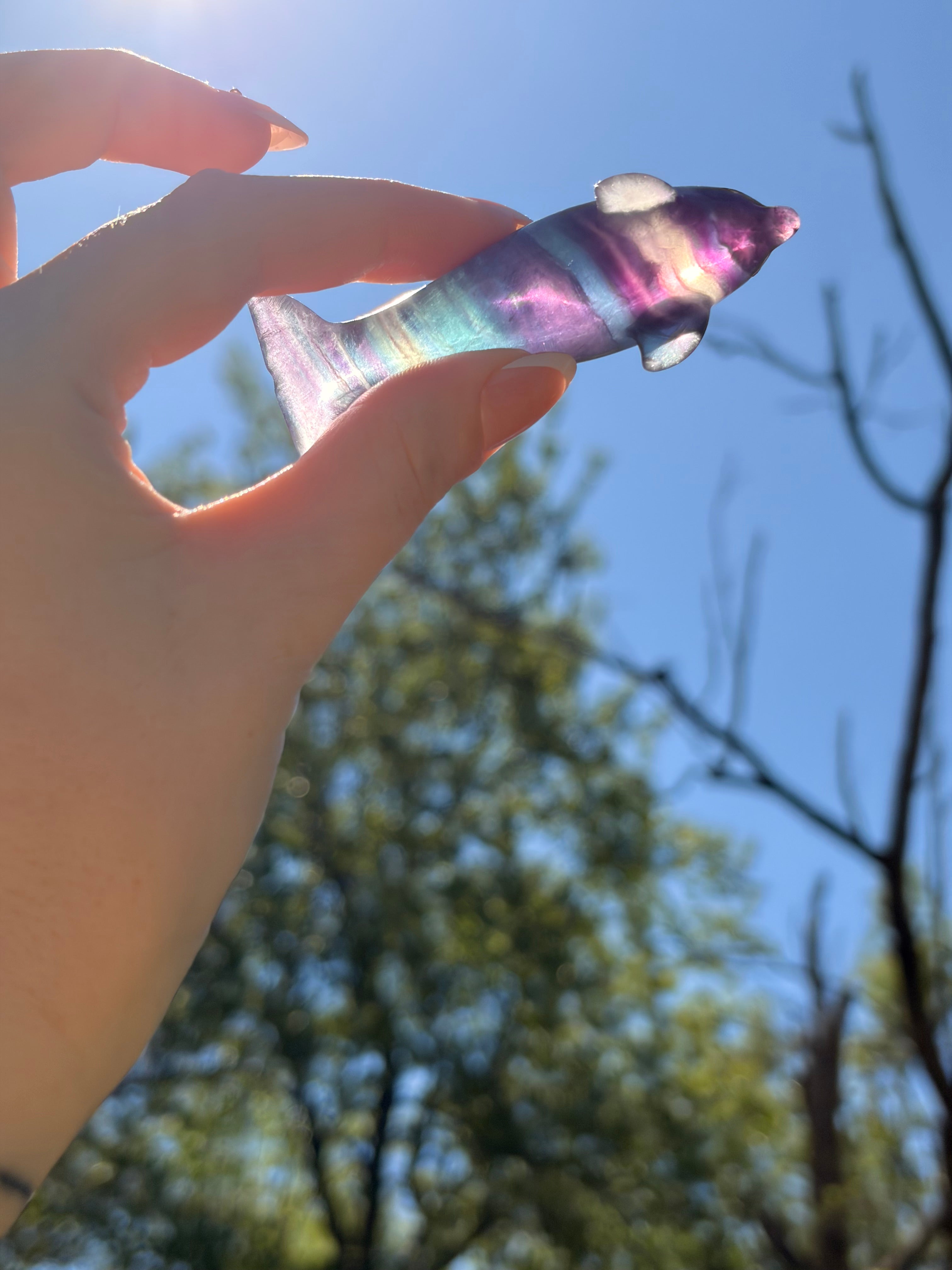 Purple Fluorite Dolphin Carving