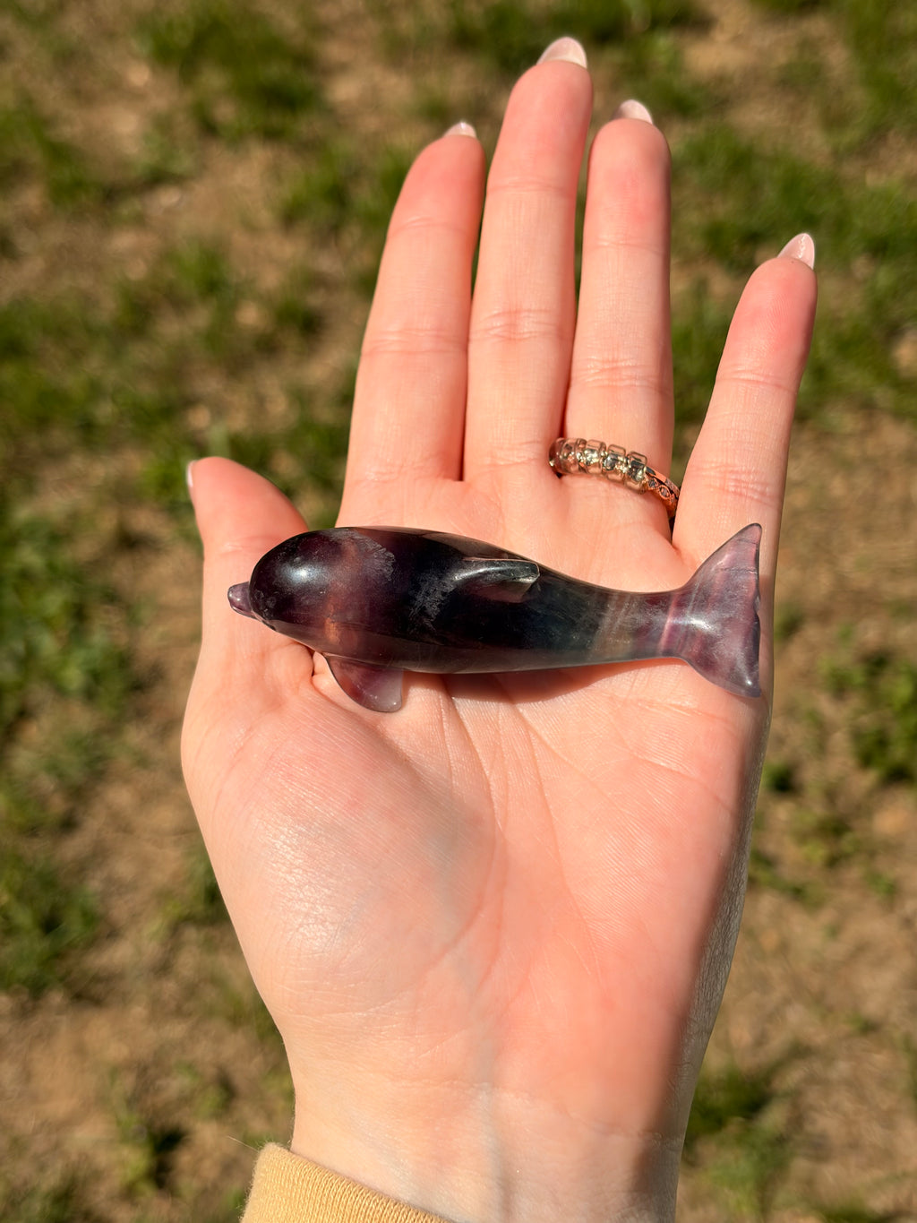 Purple Fluorite Dolphin Carving