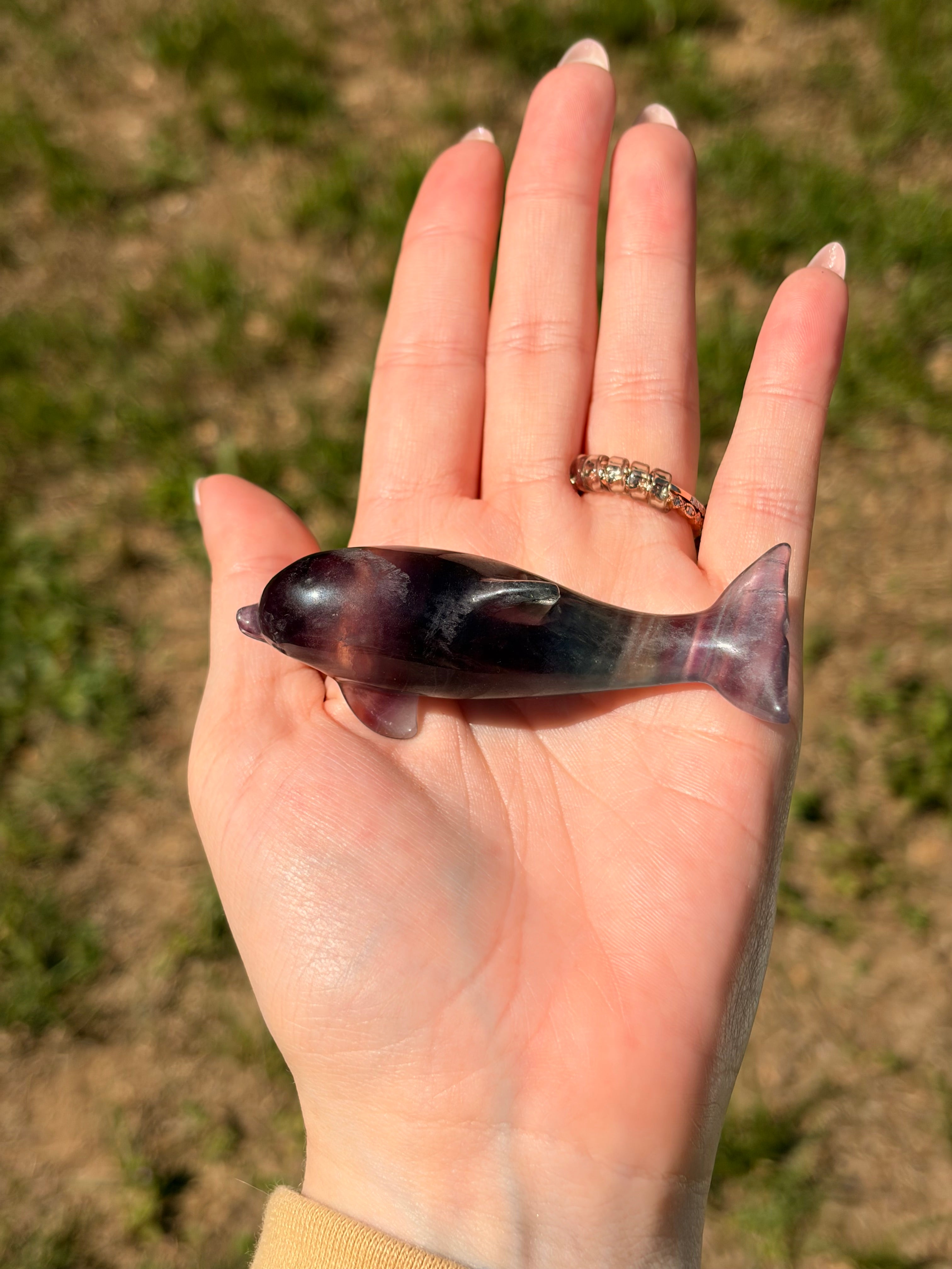 Purple Fluorite Dolphin Carving