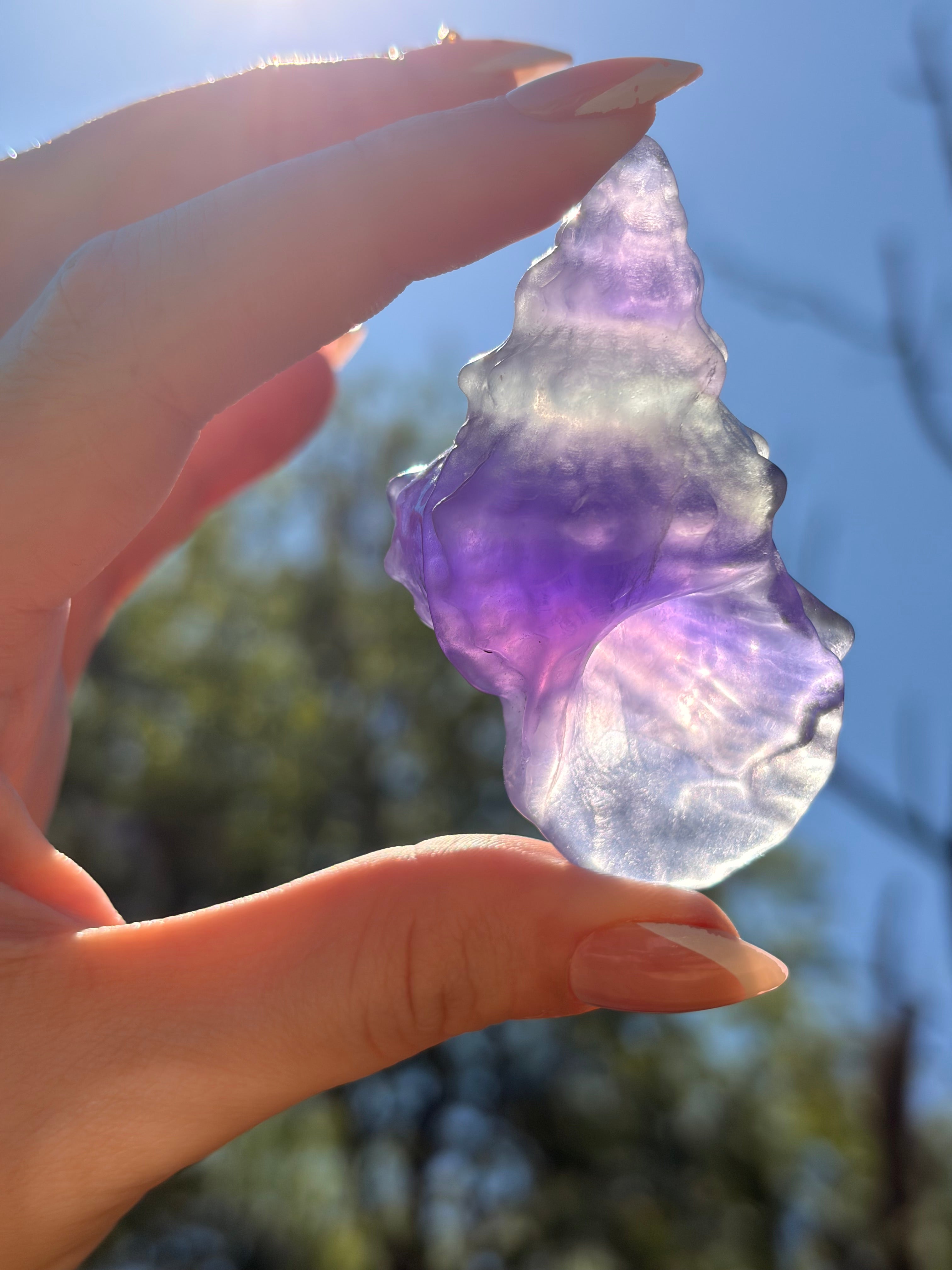 Purple Fluorite Sea Shell Carving