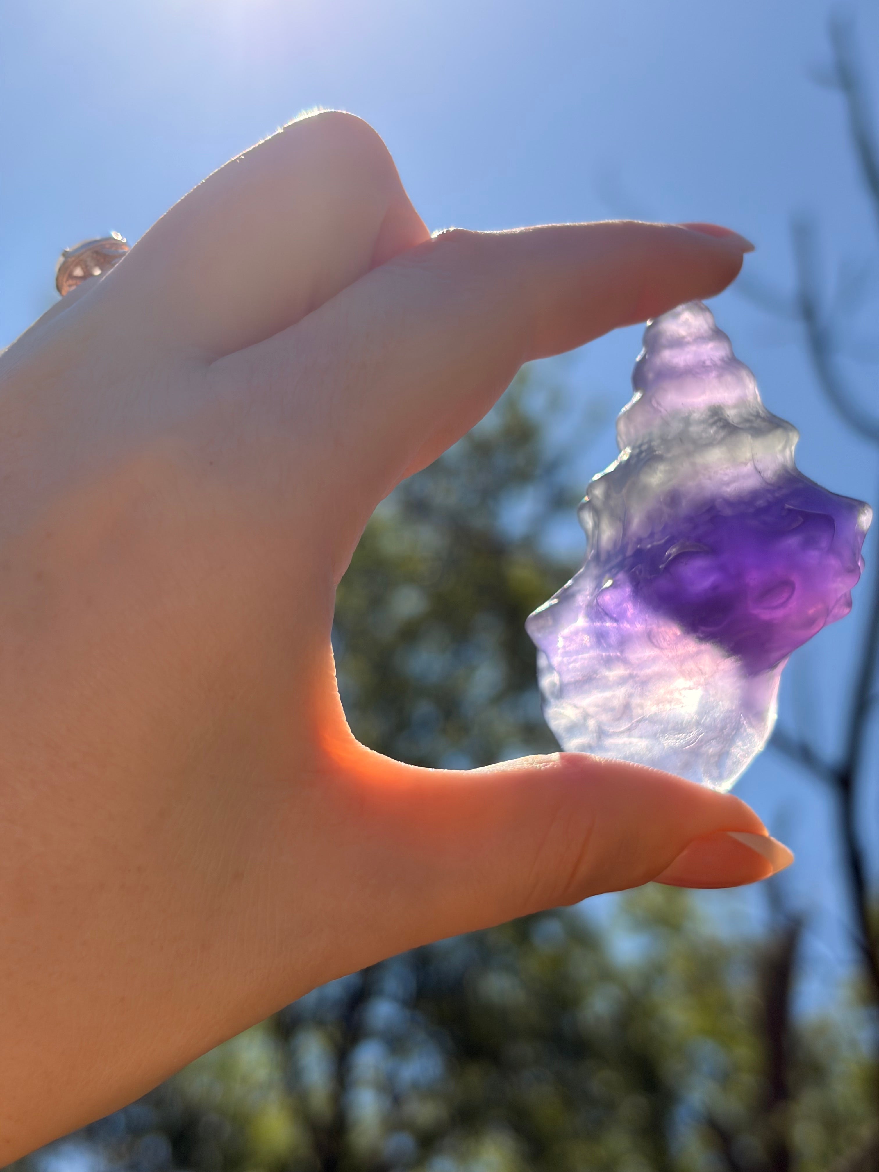 Purple Fluorite Sea Shell Carving