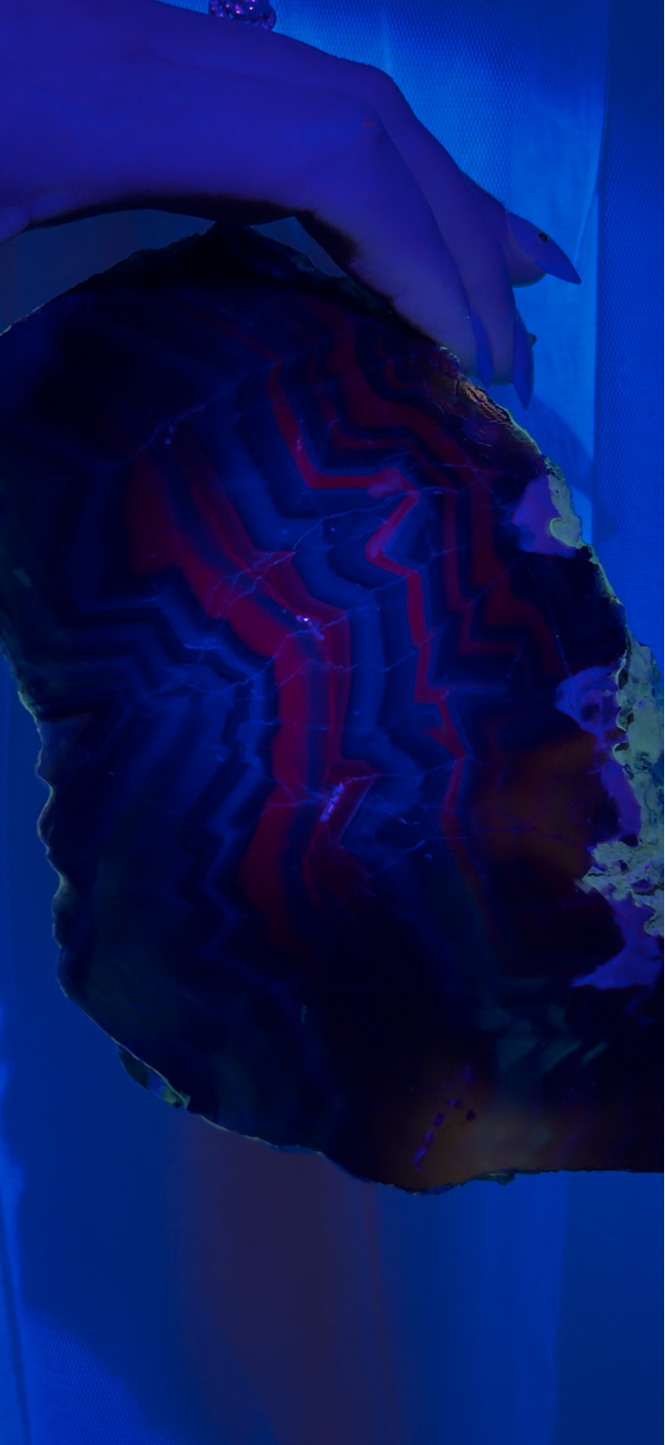 Black Rose Fluorite Slab | UV Reactive