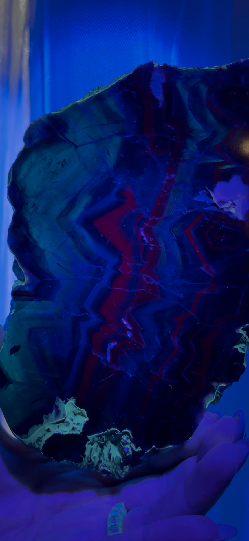Black Rose Fluorite Slab | UV Reactive