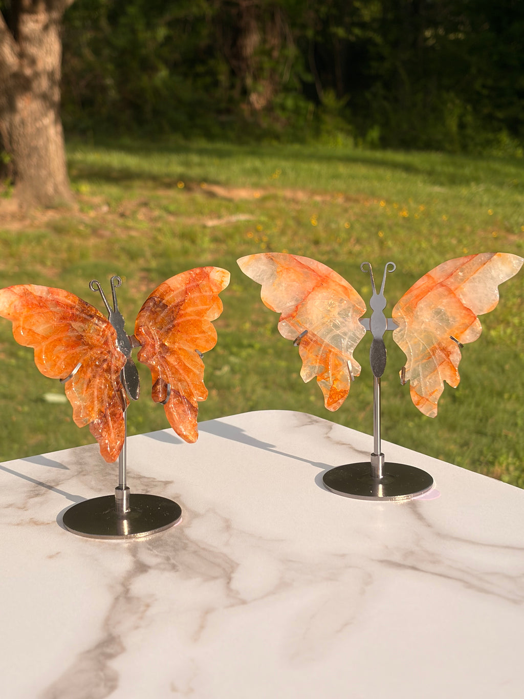 Golden Healer Butterfly w/ Display Stand