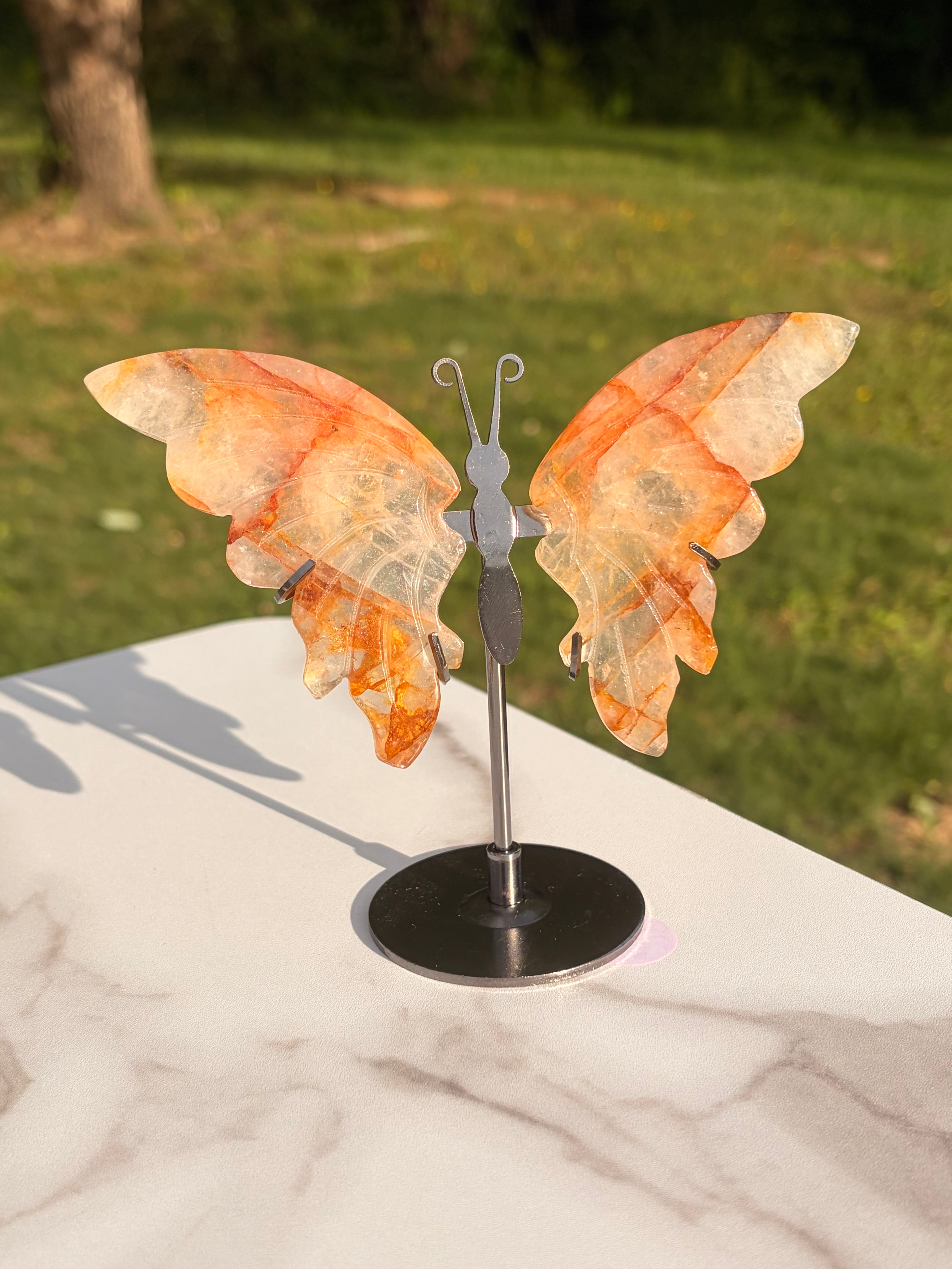 Golden Healer Butterfly w/ Display Stand