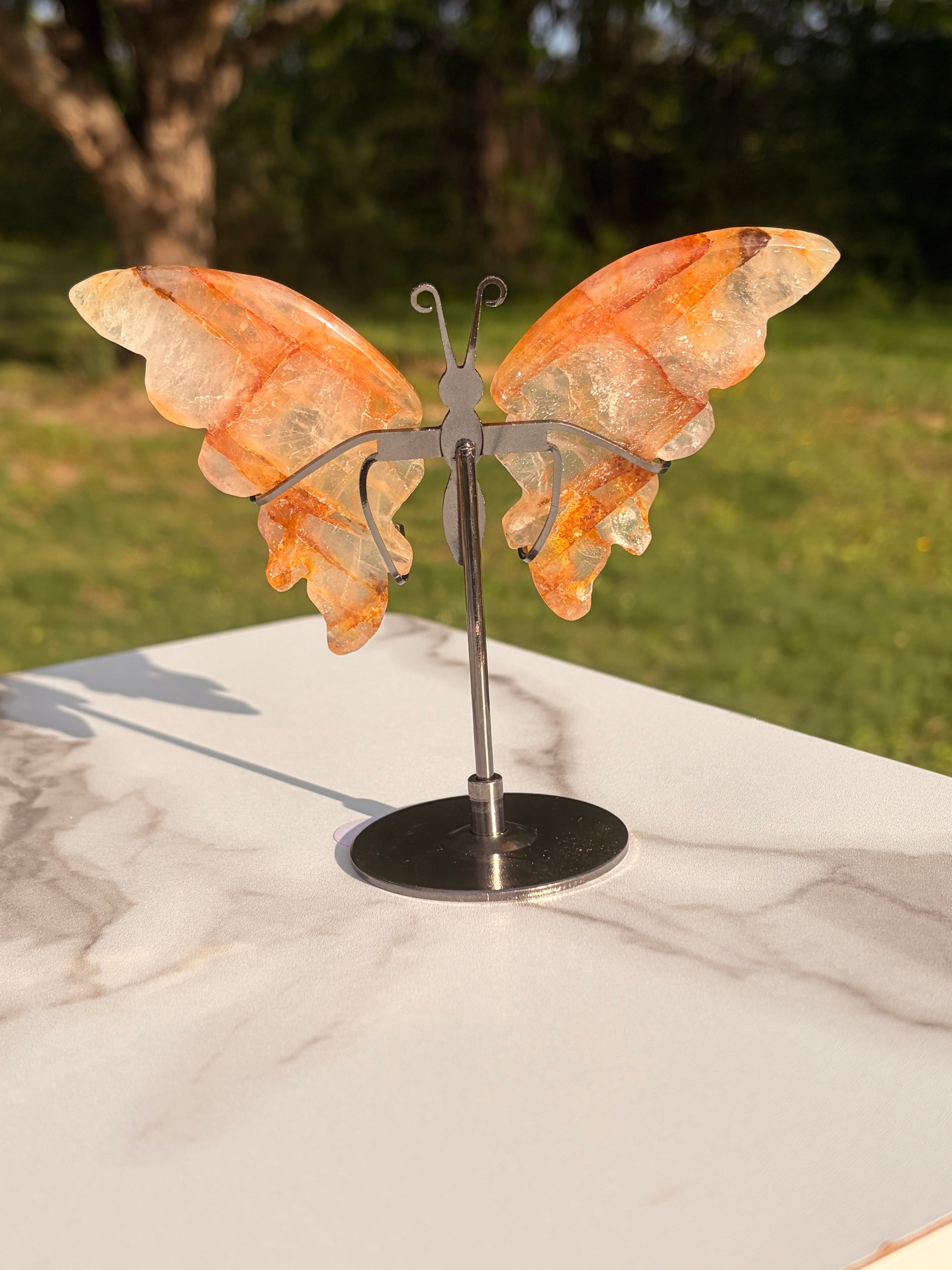 Golden Healer Butterfly w/ Display Stand