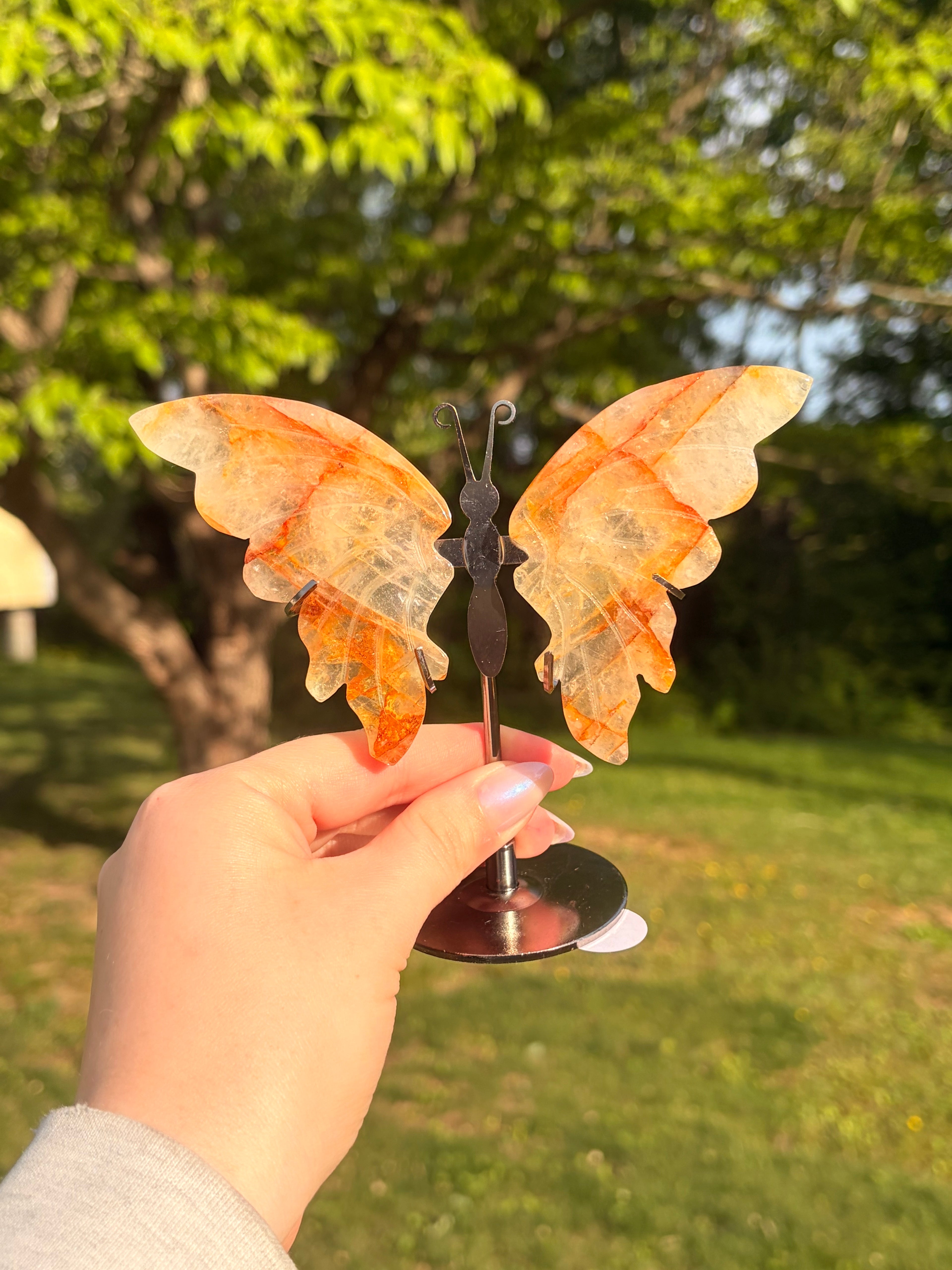 Golden Healer Butterfly w/ Display Stand