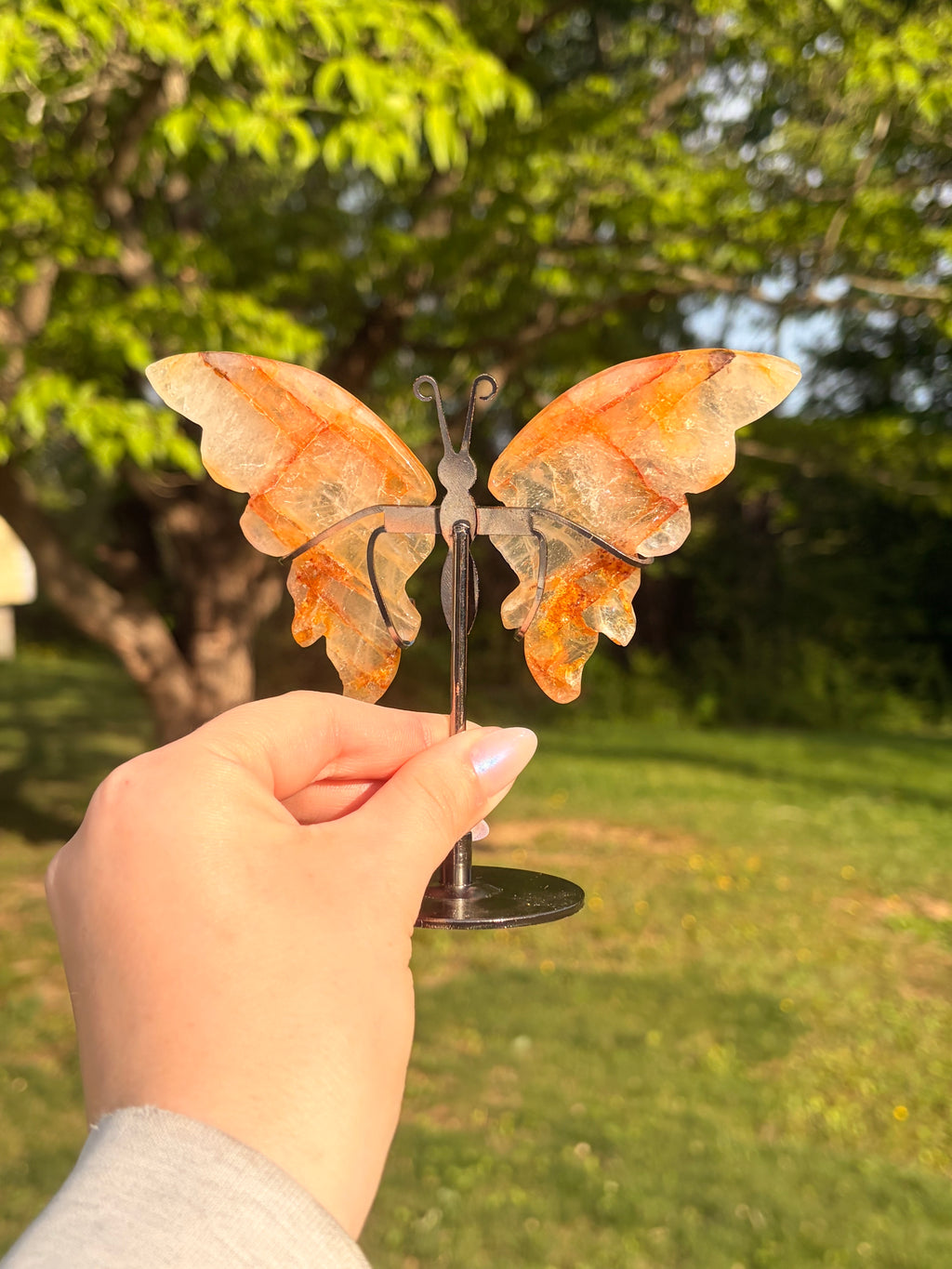 Golden Healer Butterfly w/ Display Stand