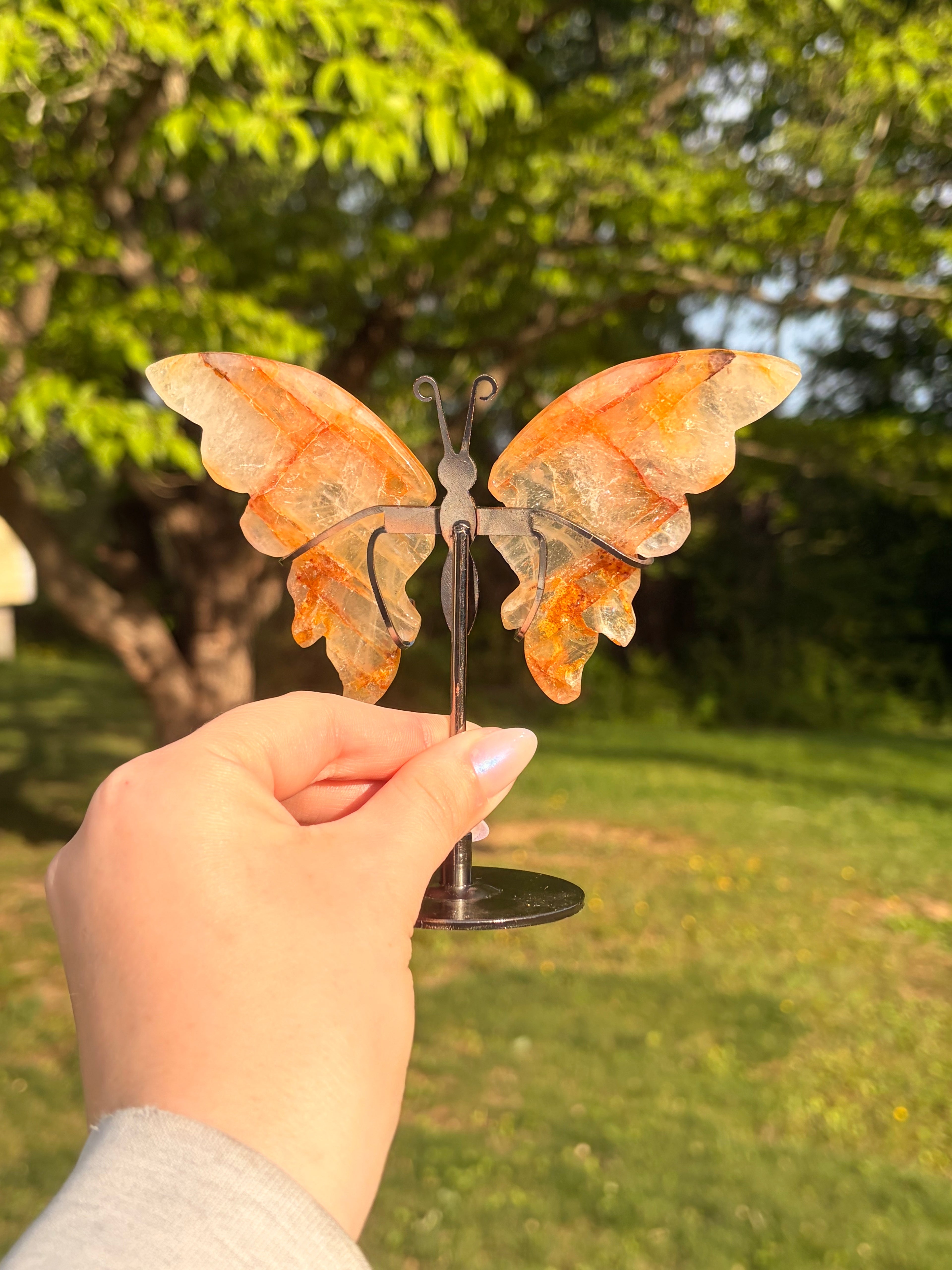 Golden Healer Butterfly w/ Display Stand