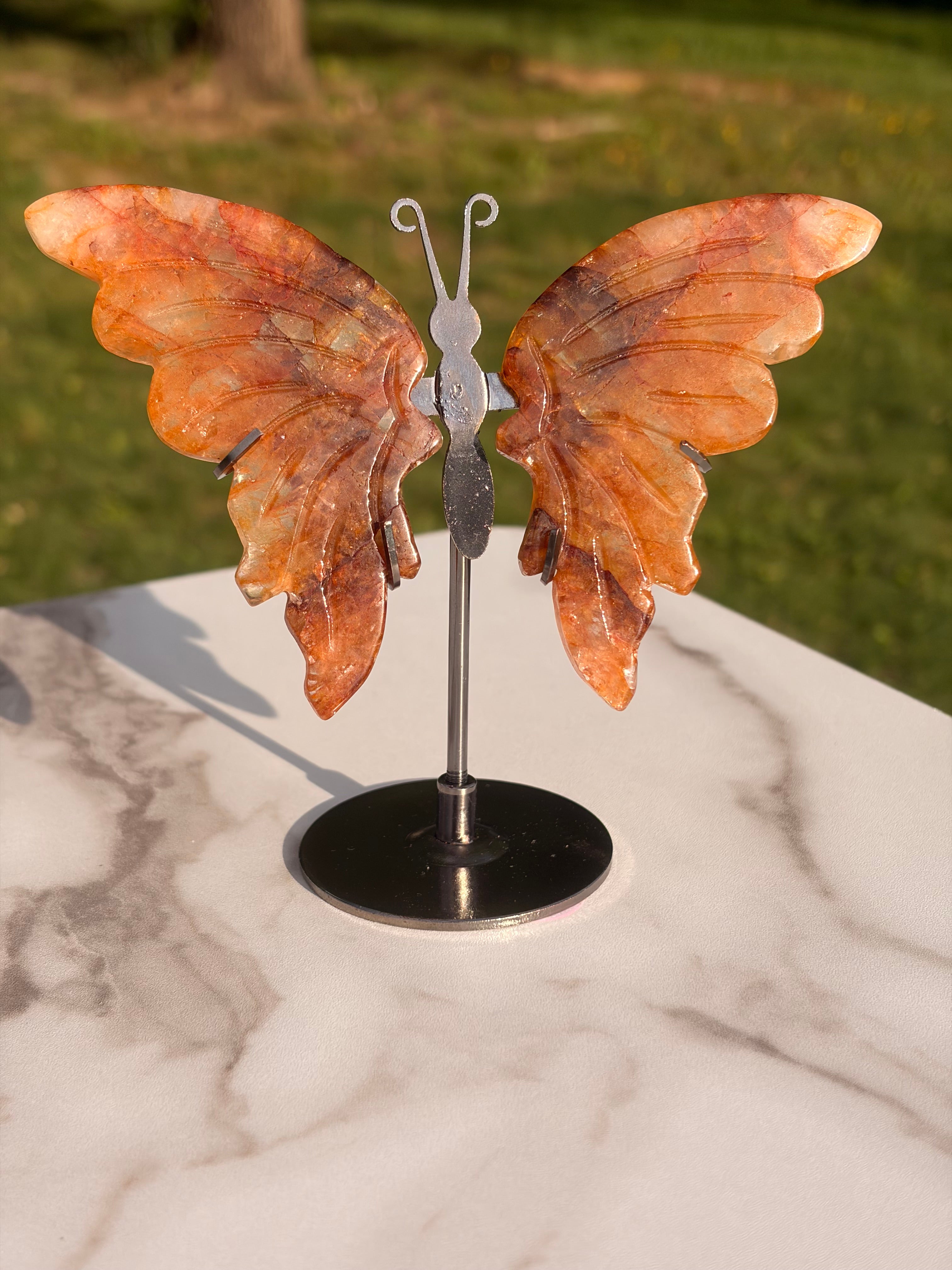 Golden Healer Butterfly w/ Display Stand