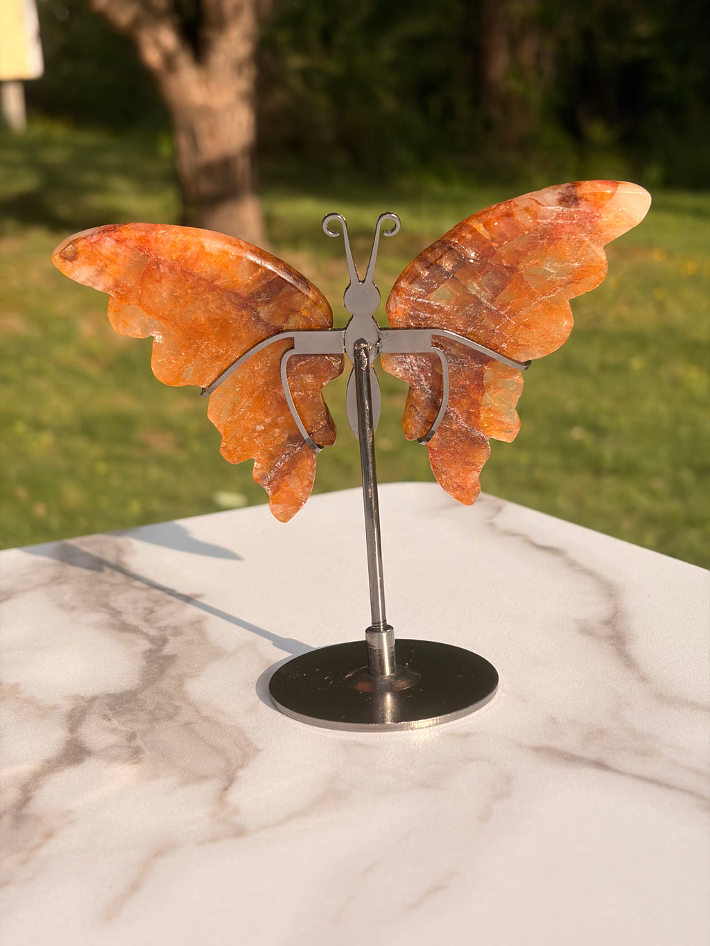 Golden Healer Butterfly w/ Display Stand