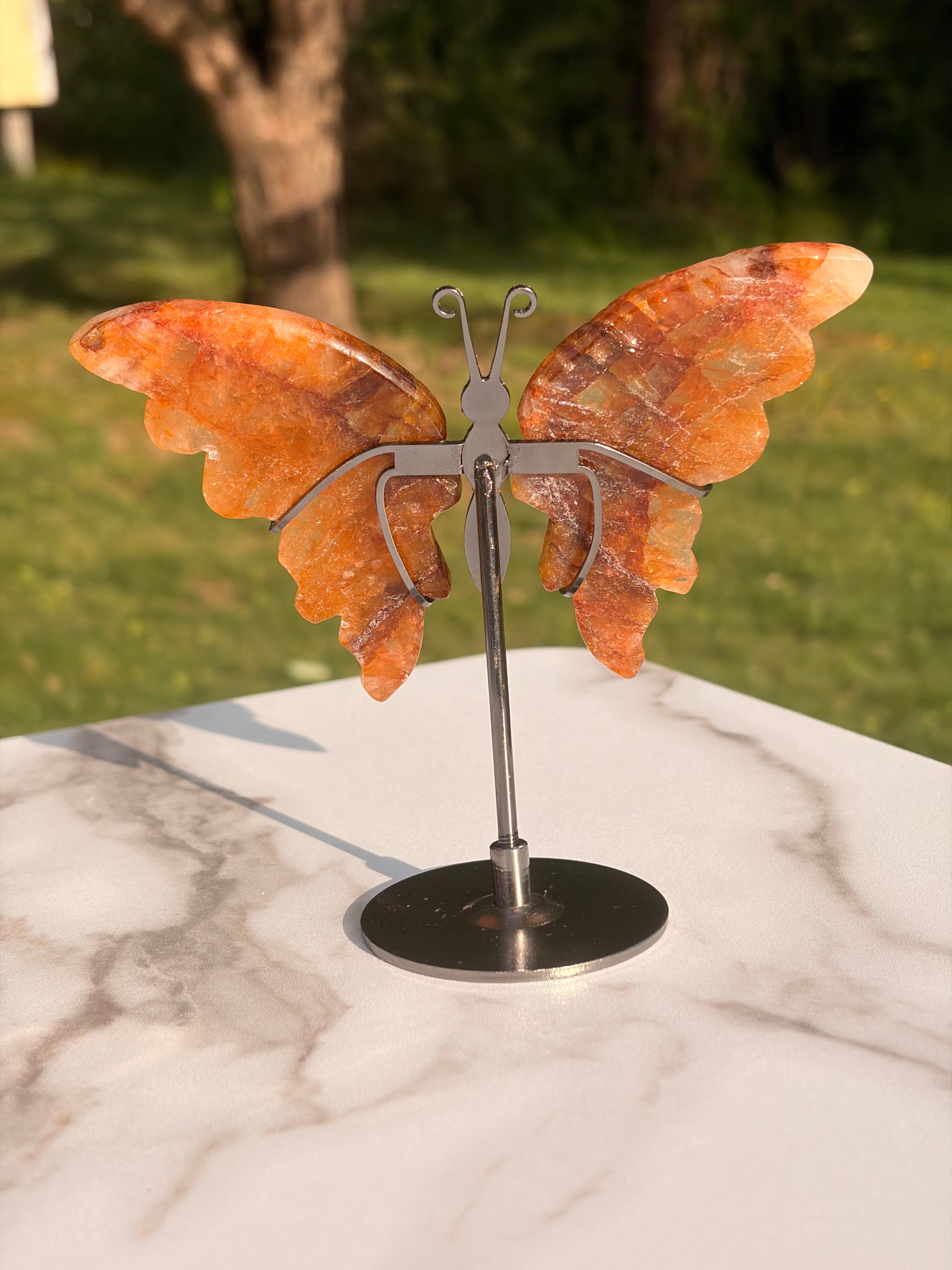 Golden Healer Butterfly w/ Display Stand