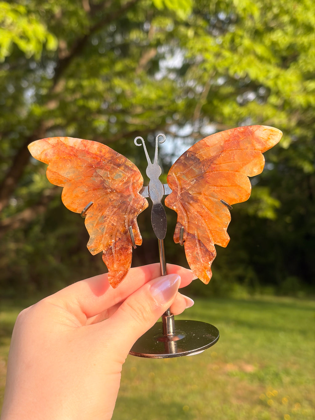 Golden Healer Butterfly w/ Display Stand